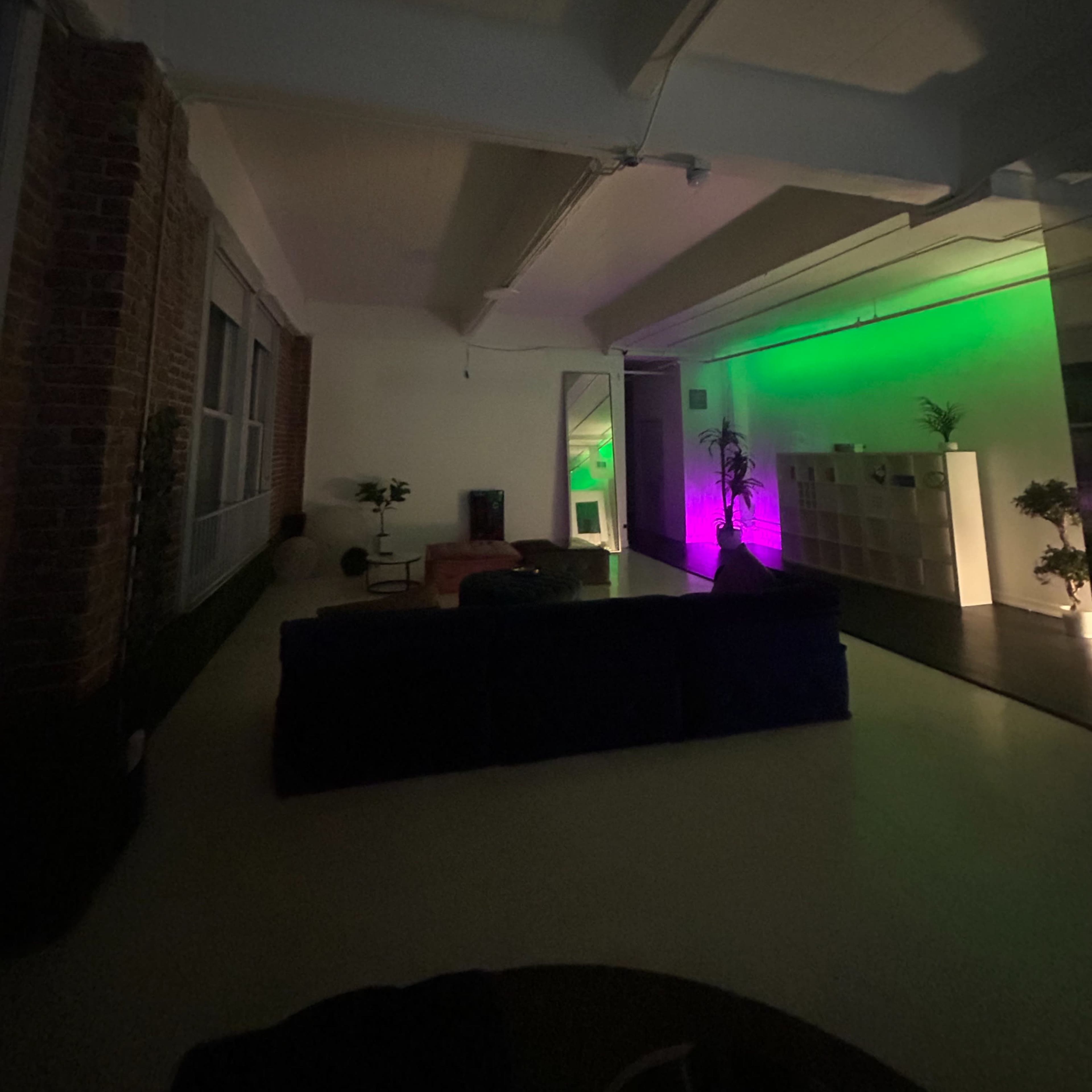 A dimly lit modern indoor space with a sectional couch, plants, and colored lights illuminating the walls.