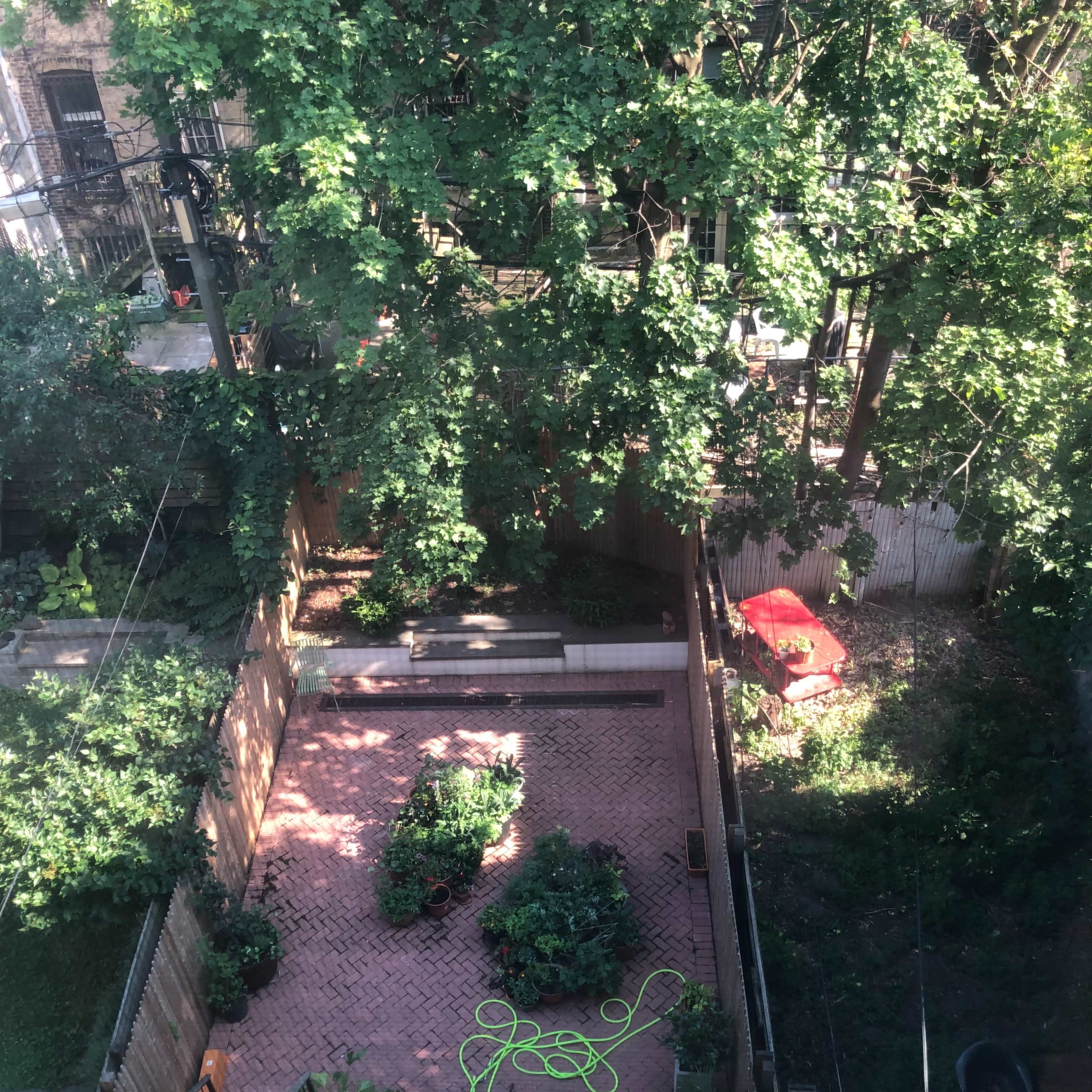 A garden area with brick pathways, various plants in pots, and a garden hose coiled on the ground, surrounded by trees and a red structure in the background.