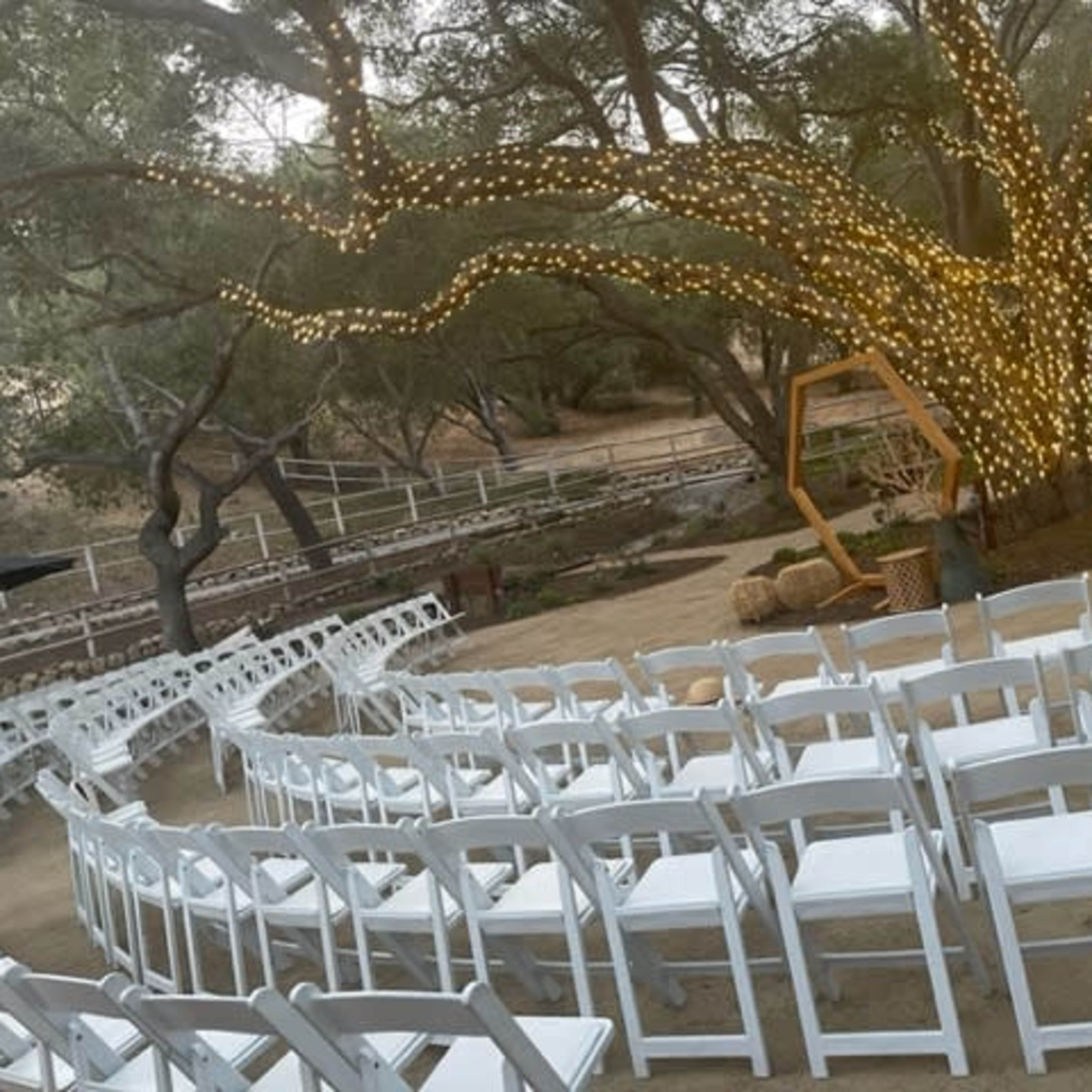A set-up for an outdoor event with white chairs arranged in rows beneath a tree adorned with string lights.