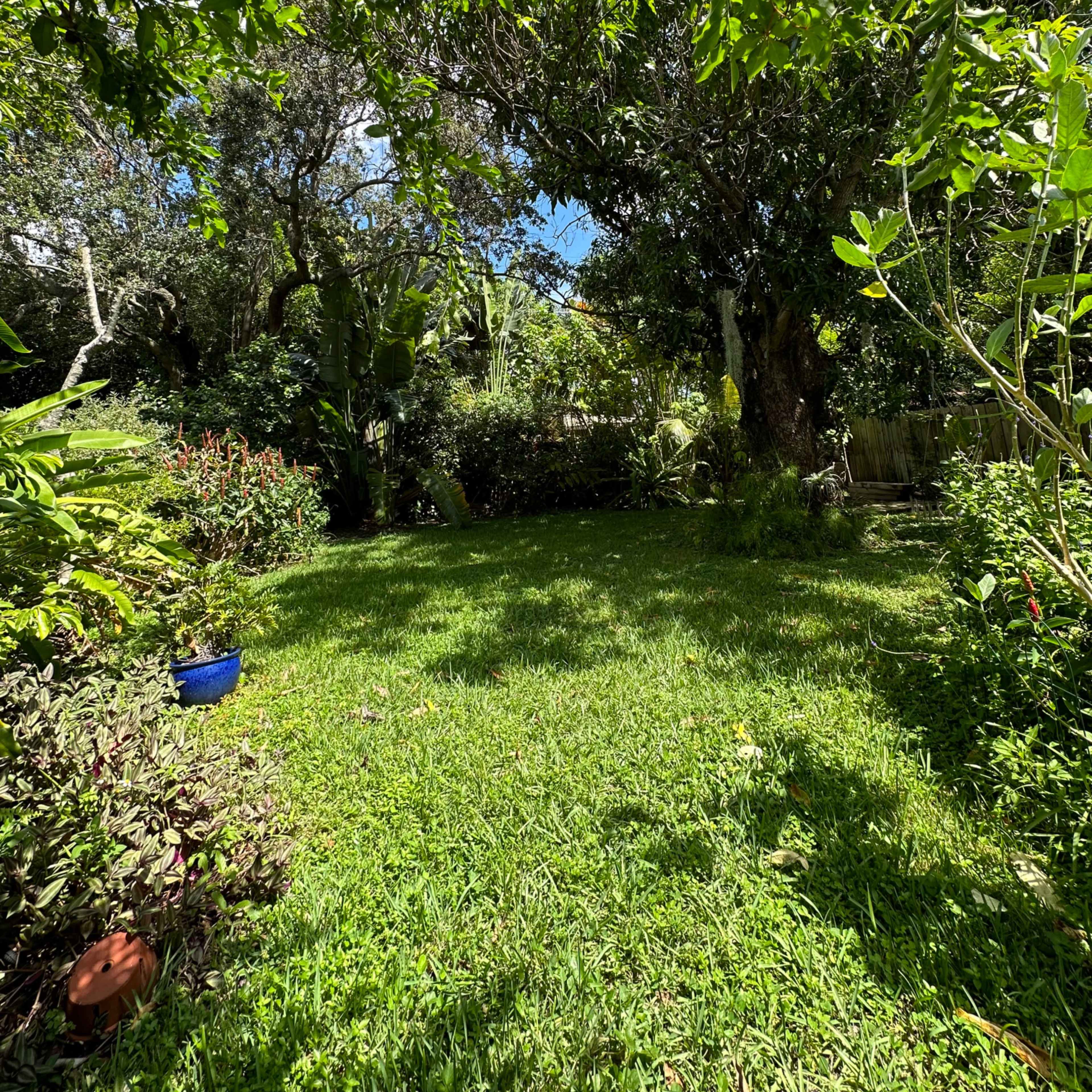 A lush green garden filled with various plants and trees under a partly cloudy sky.