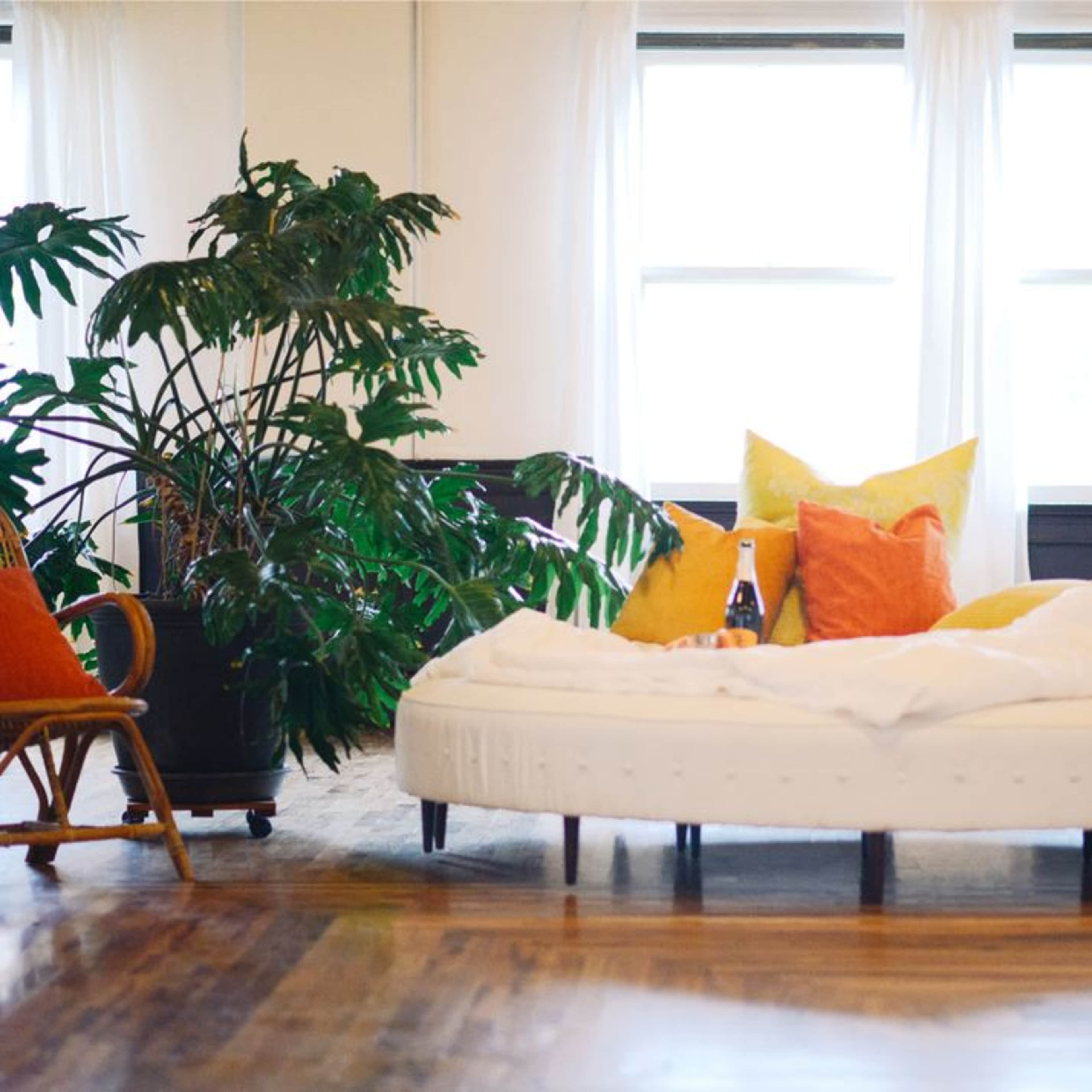 A round bed with white bedding is surrounded by colorful cushions and large plants in a bright room with large windows.
