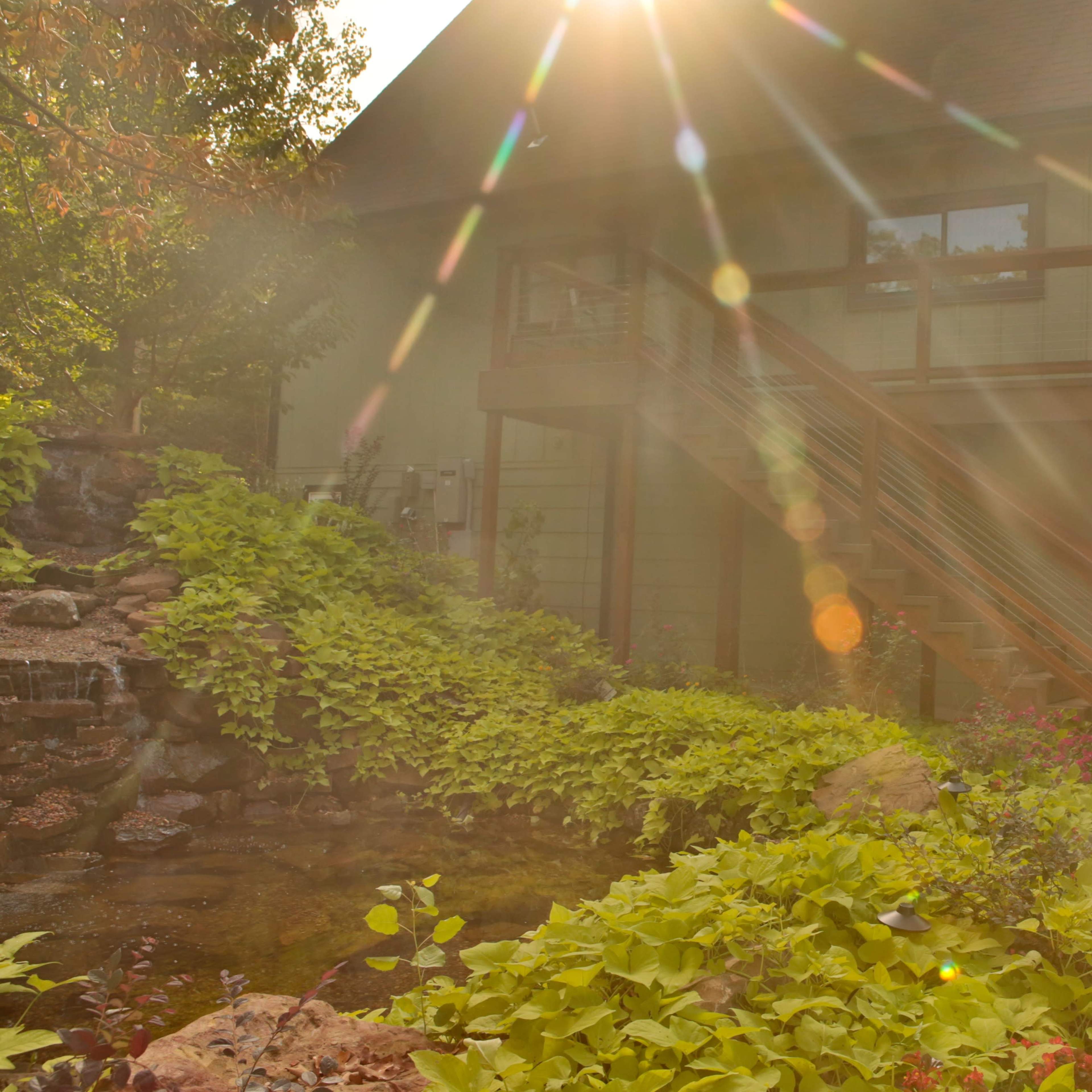 A house with a deck and stairs, surrounded by greenery and a small pond, with sunlight streaming through the trees.