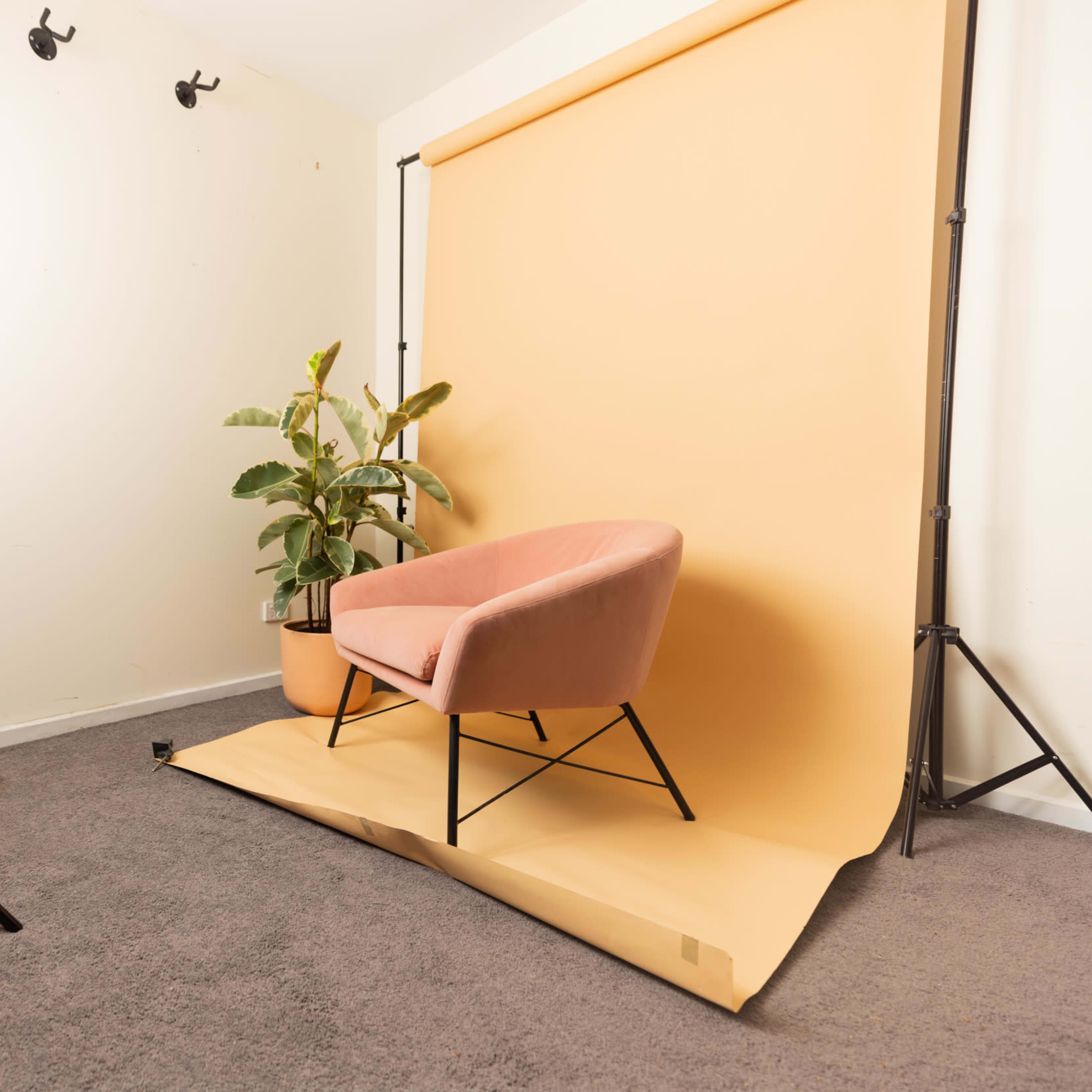 A well-lit studio space with a pink armchair and a potted plant against a yellow backdrop.