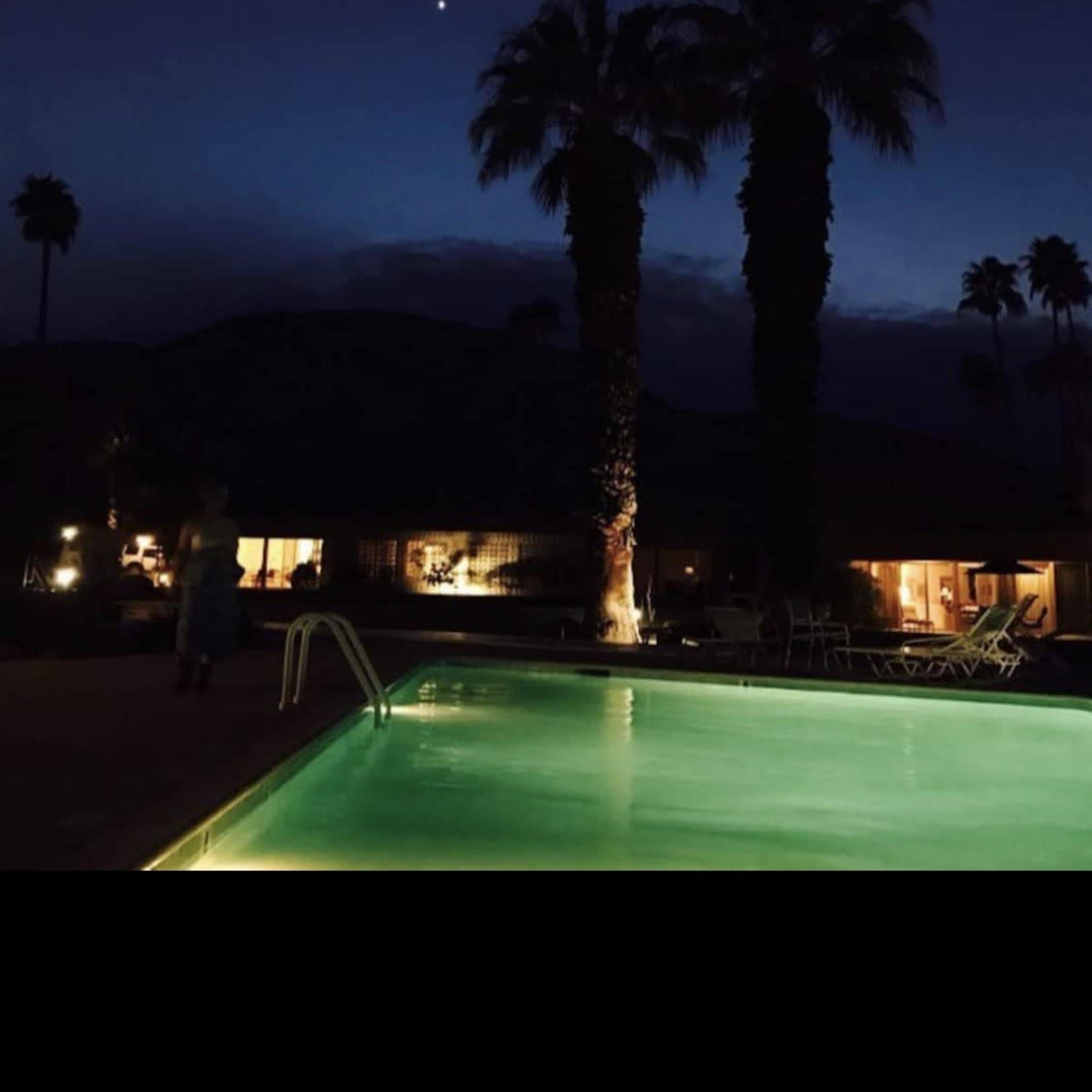 A lit swimming pool with green water is bordered by palm trees under a night sky with a visible star.