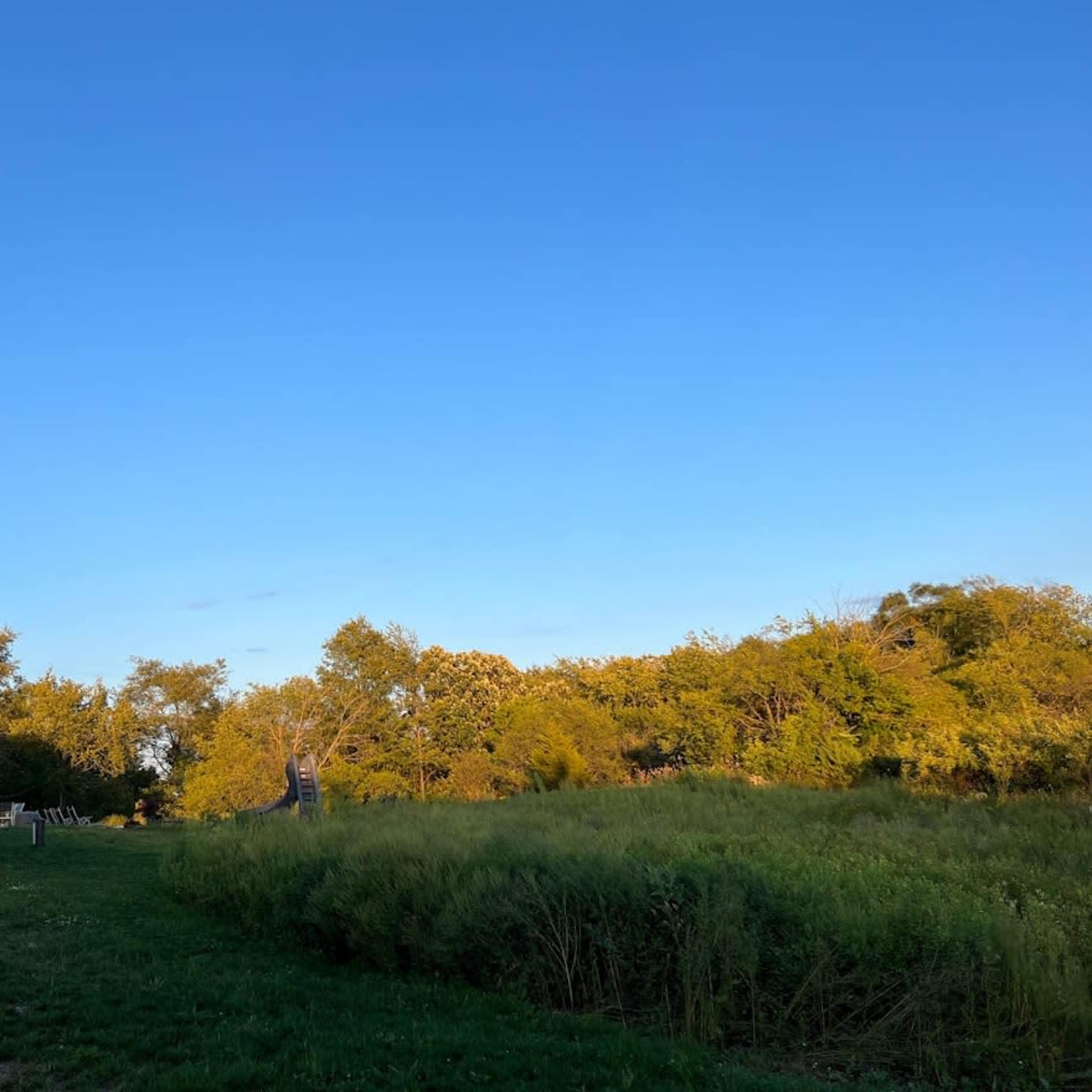 A clear blue sky stretches over a grassy area dotted with trees and a building in the background.