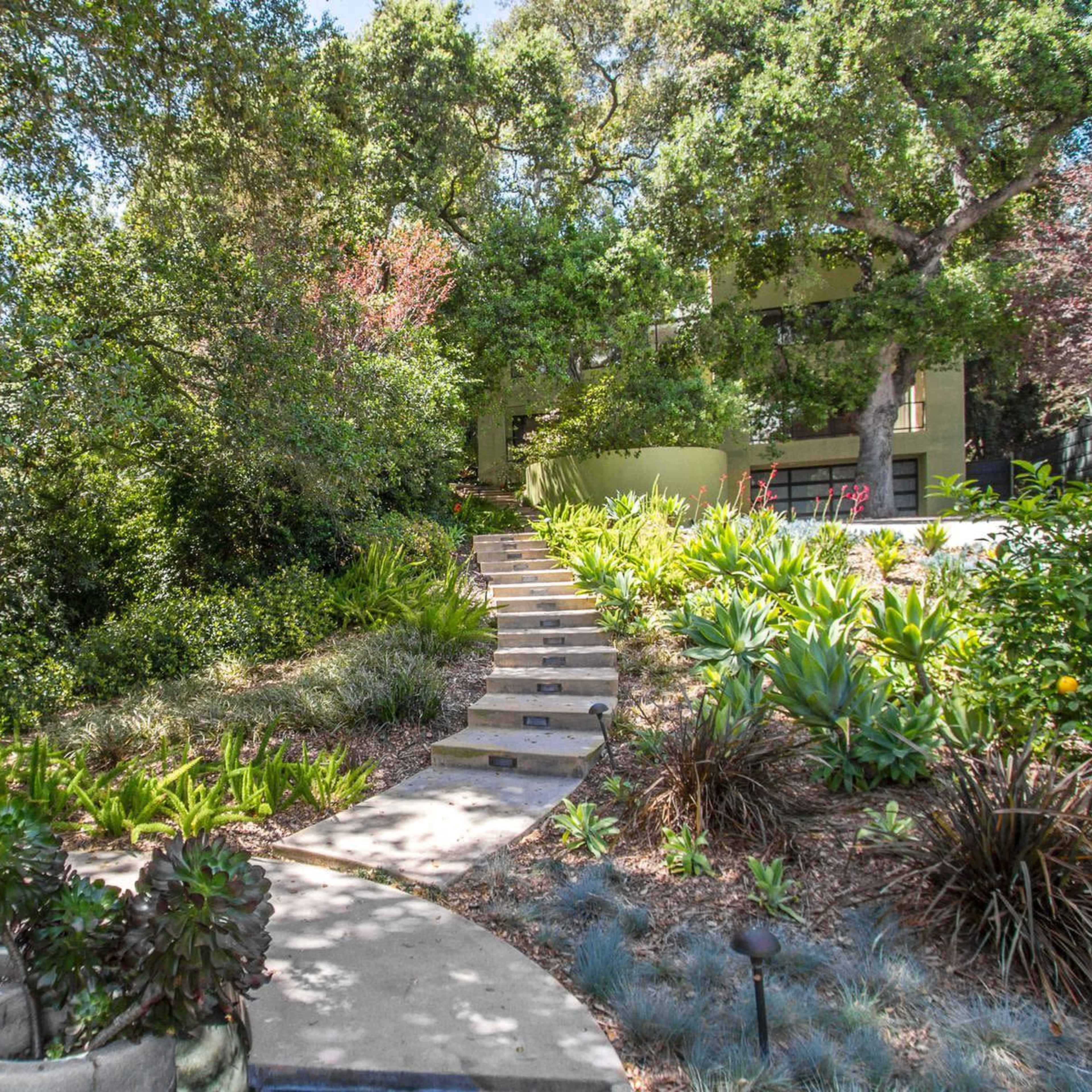 A landscaped pathway lined with plants leads upwards through a garden toward a modern house surrounded by trees.