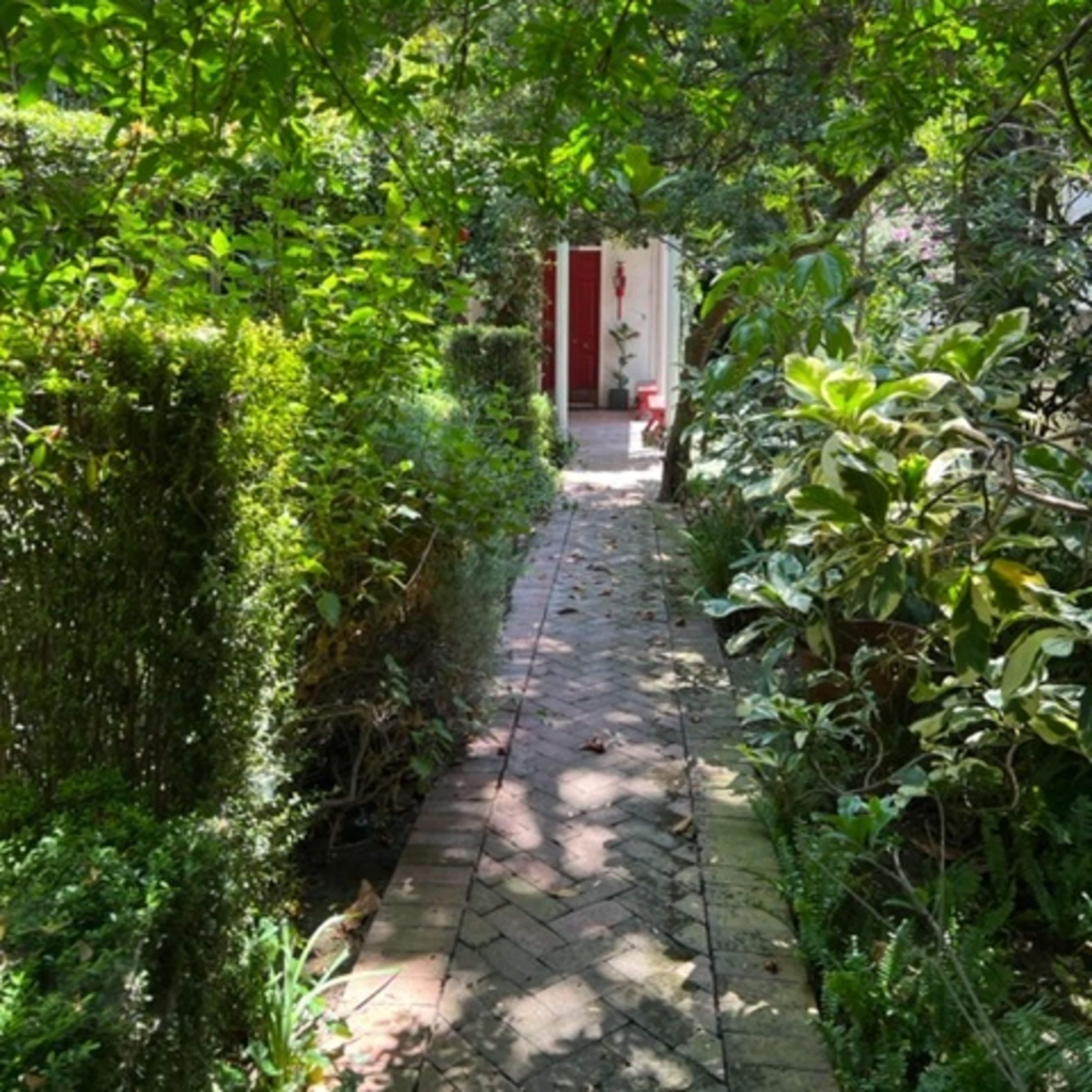 A narrow pathway lined with greenery leading to a red door in the distance.