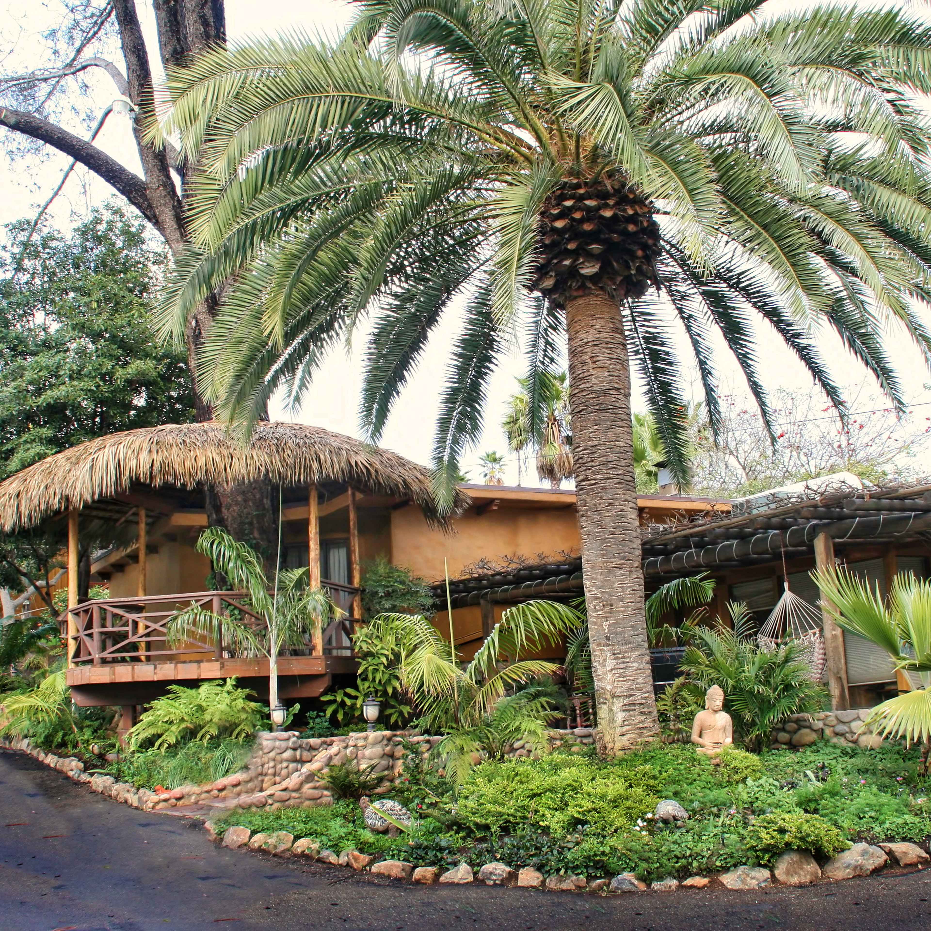 A tropical-style house with a thatched roof and palm trees surrounded by lush greenery and decorative stones along a winding driveway.