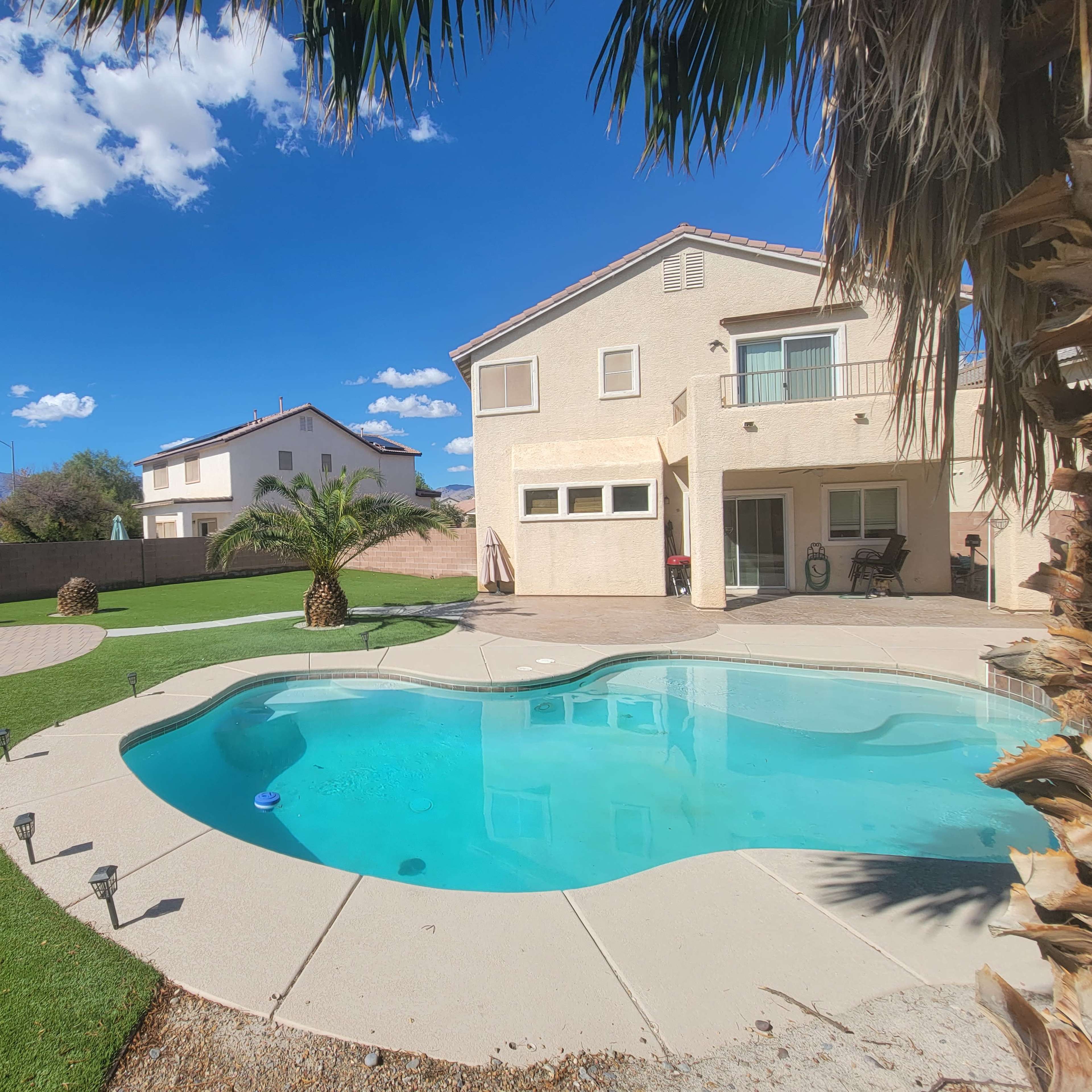A backyard features a swimming pool surrounded by green grass, palm trees, and a two-story house in a residential area.