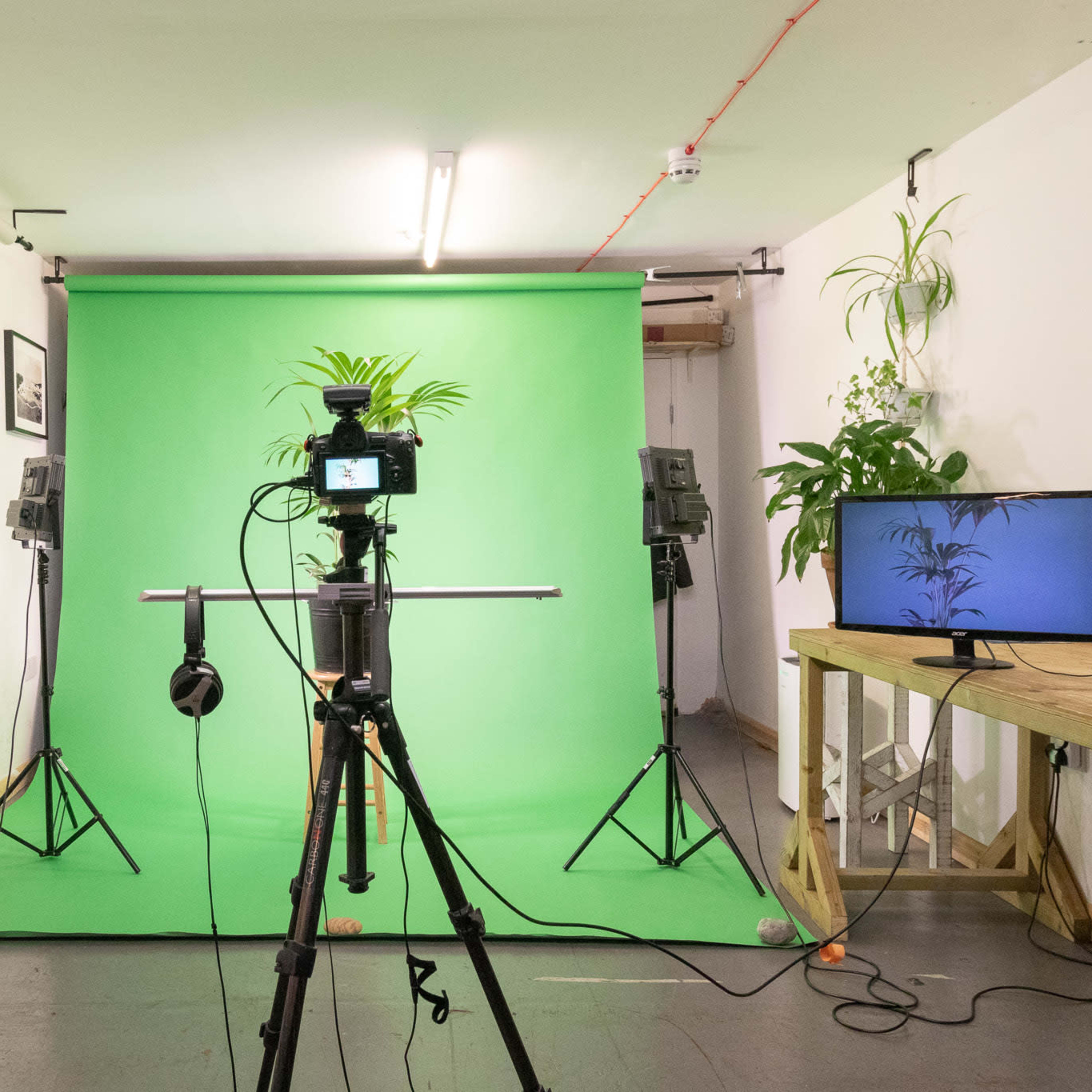 A camera is set up on a tripod facing a green screen in a studio surrounded by plants and lights.