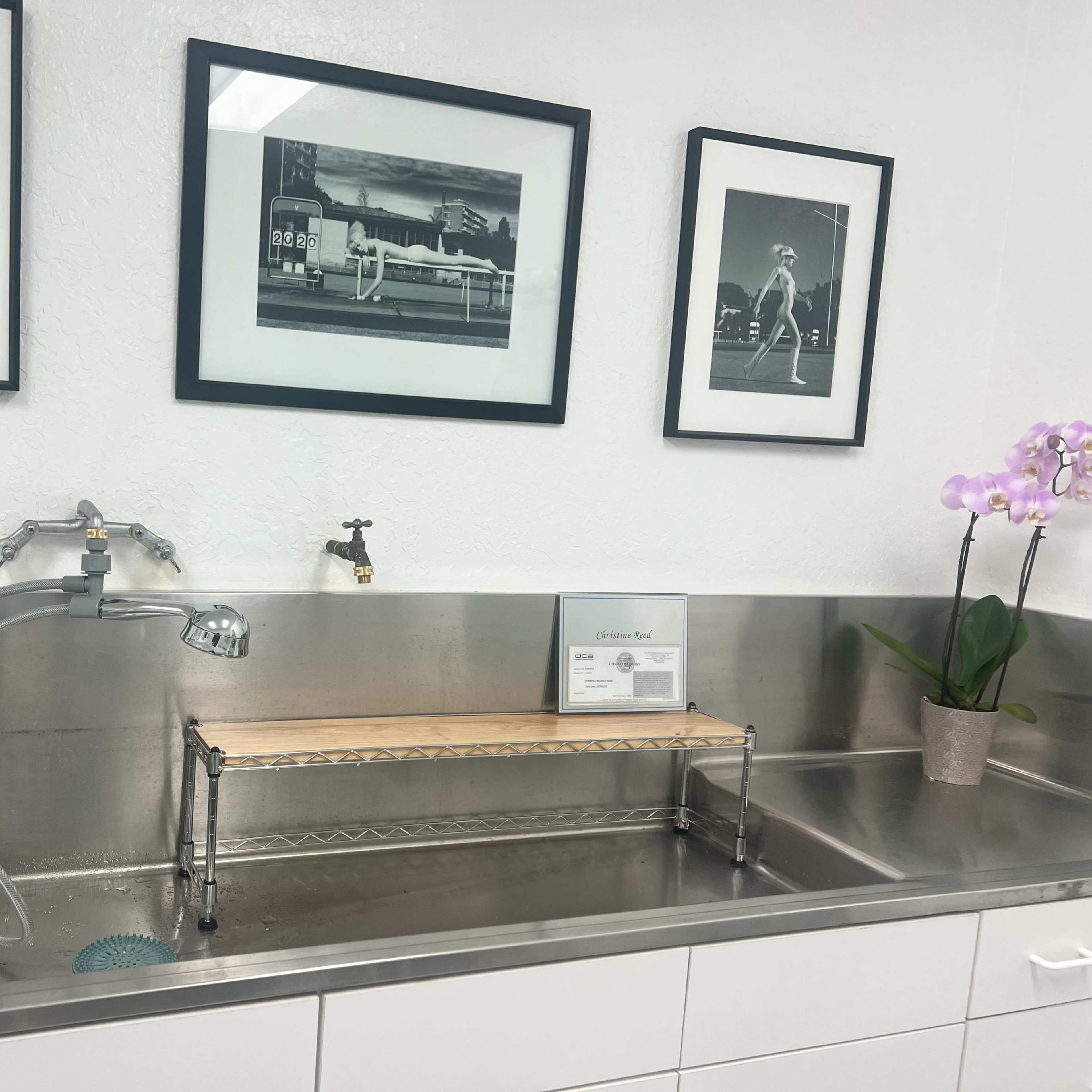 A stainless steel sink with a detachable faucet, a wooden shelf above it, and framed black-and-white photographs of a tennis player on the wall.