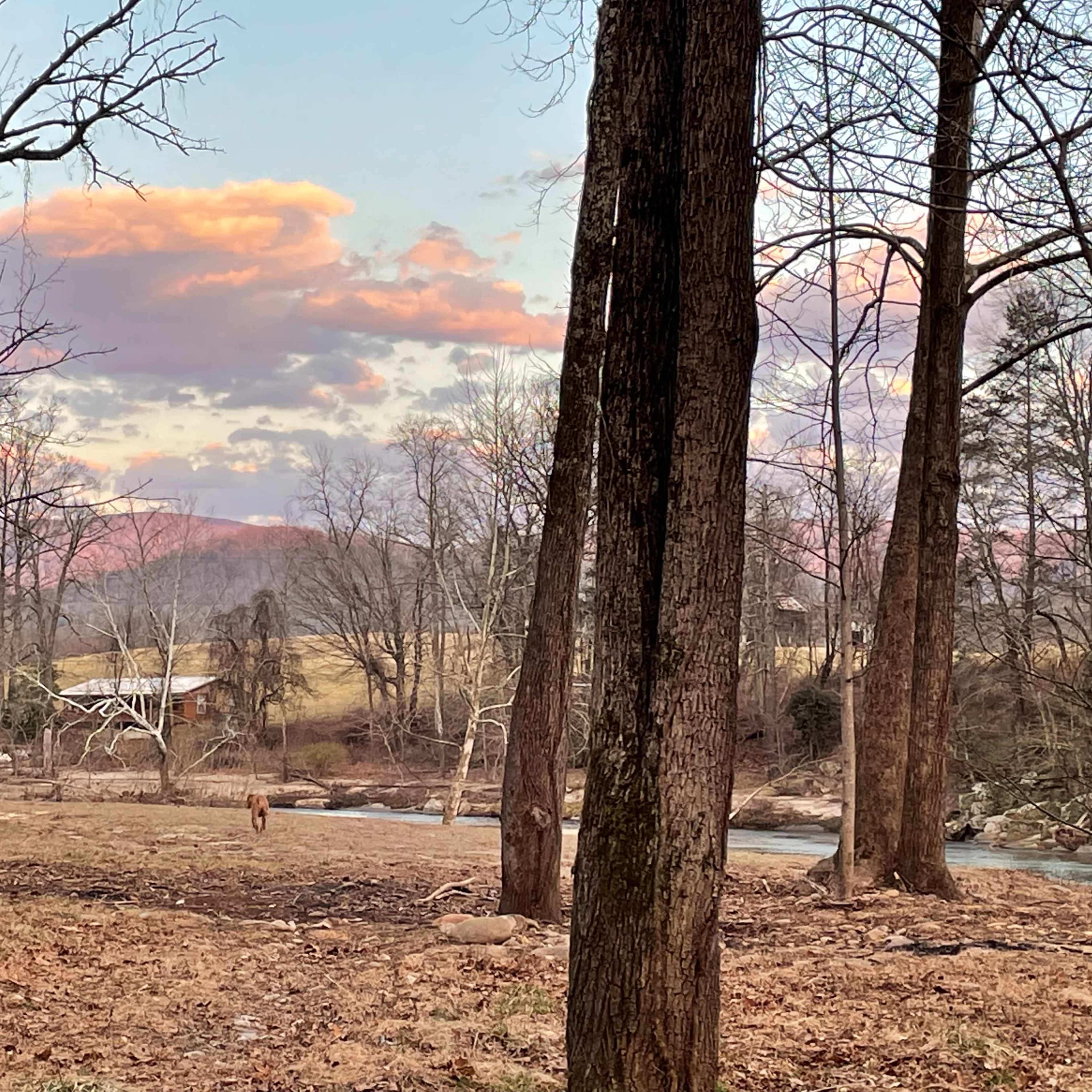 A person walks along a riverbank surrounded by bare trees and mountains in the background under a colorful sky.