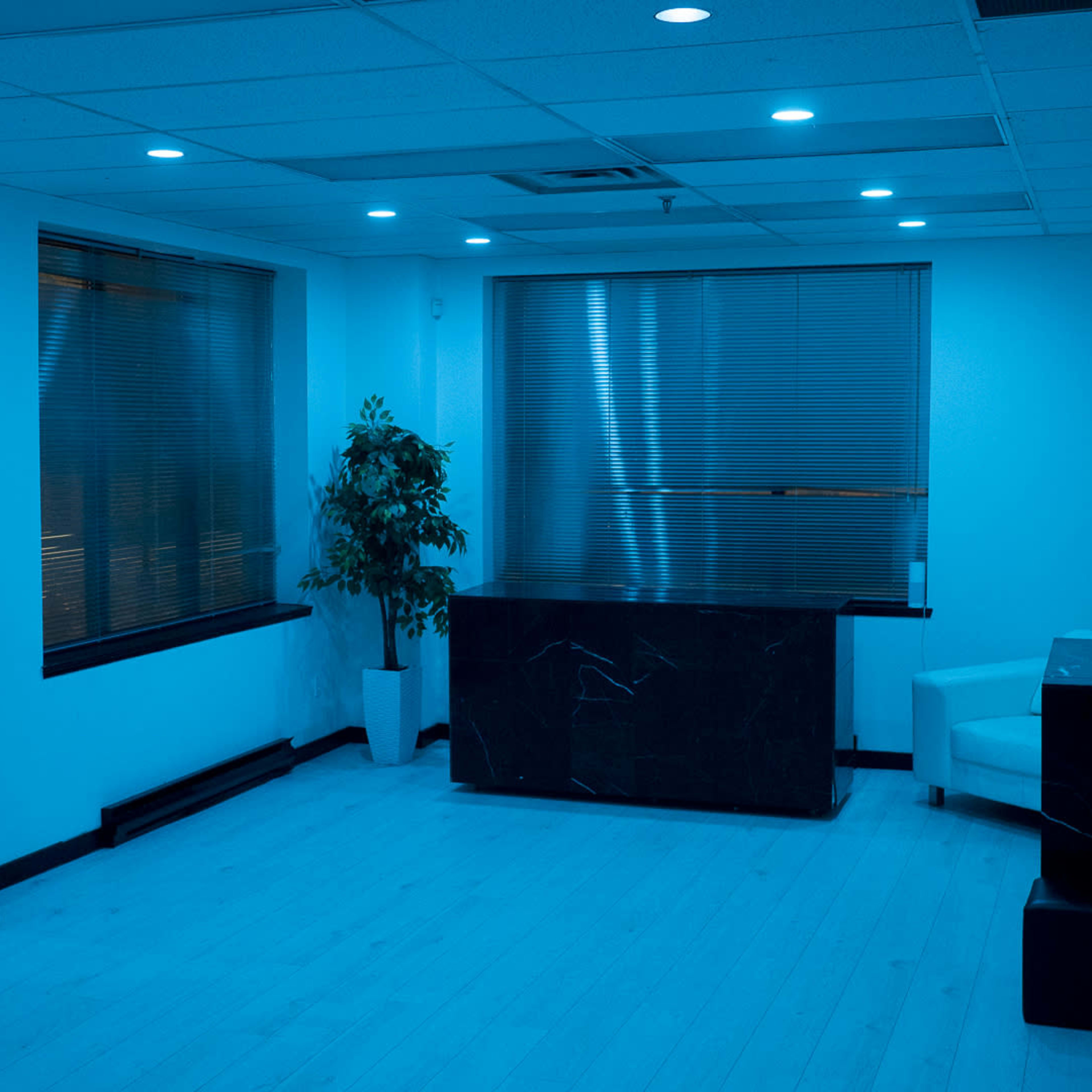 A sparsely furnished room with blue lighting, featuring a mirror, a plant, a black stone counter, and a white couch.