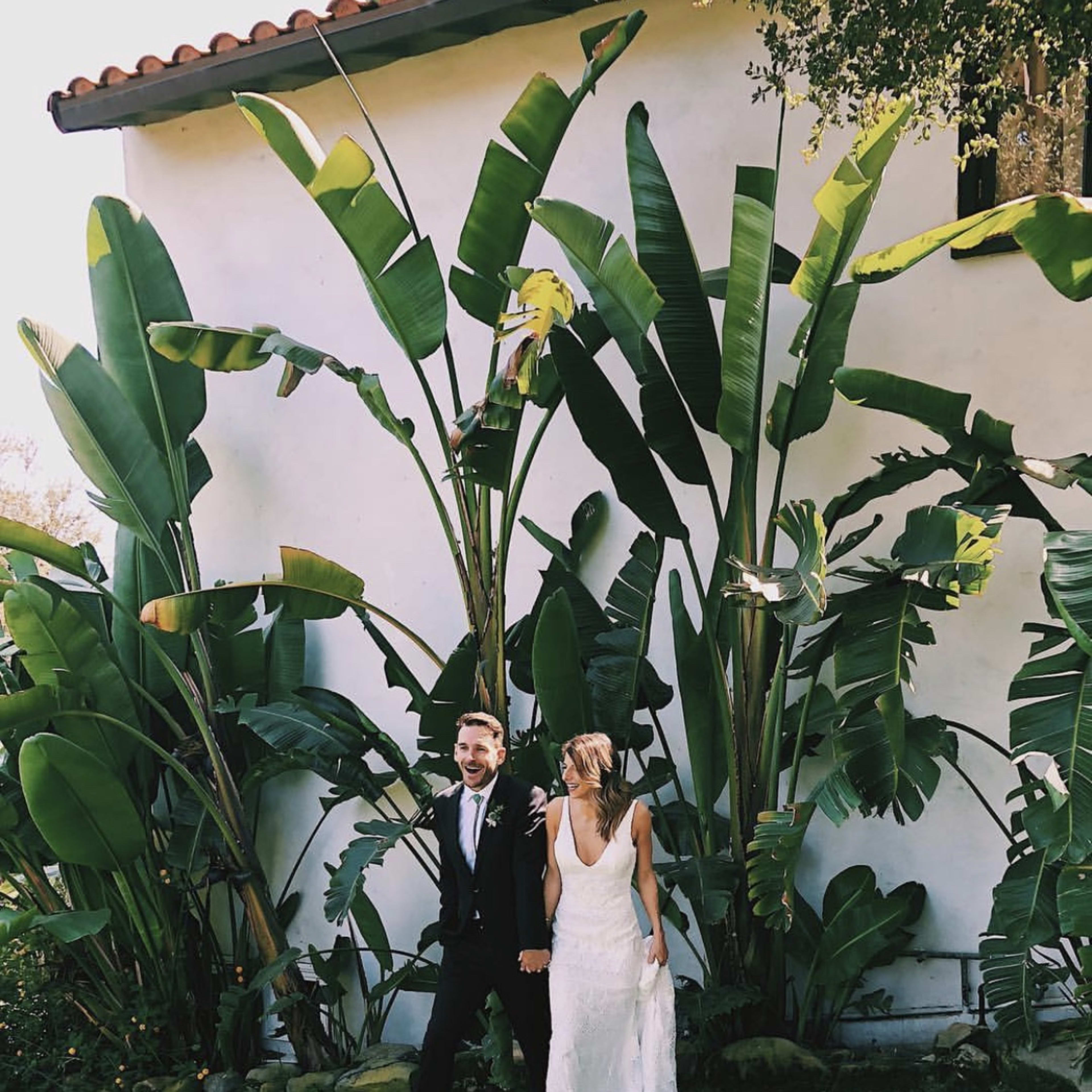 A couple in formal wedding attire stands hand in hand in front of tall tropical plants beside a white wall.