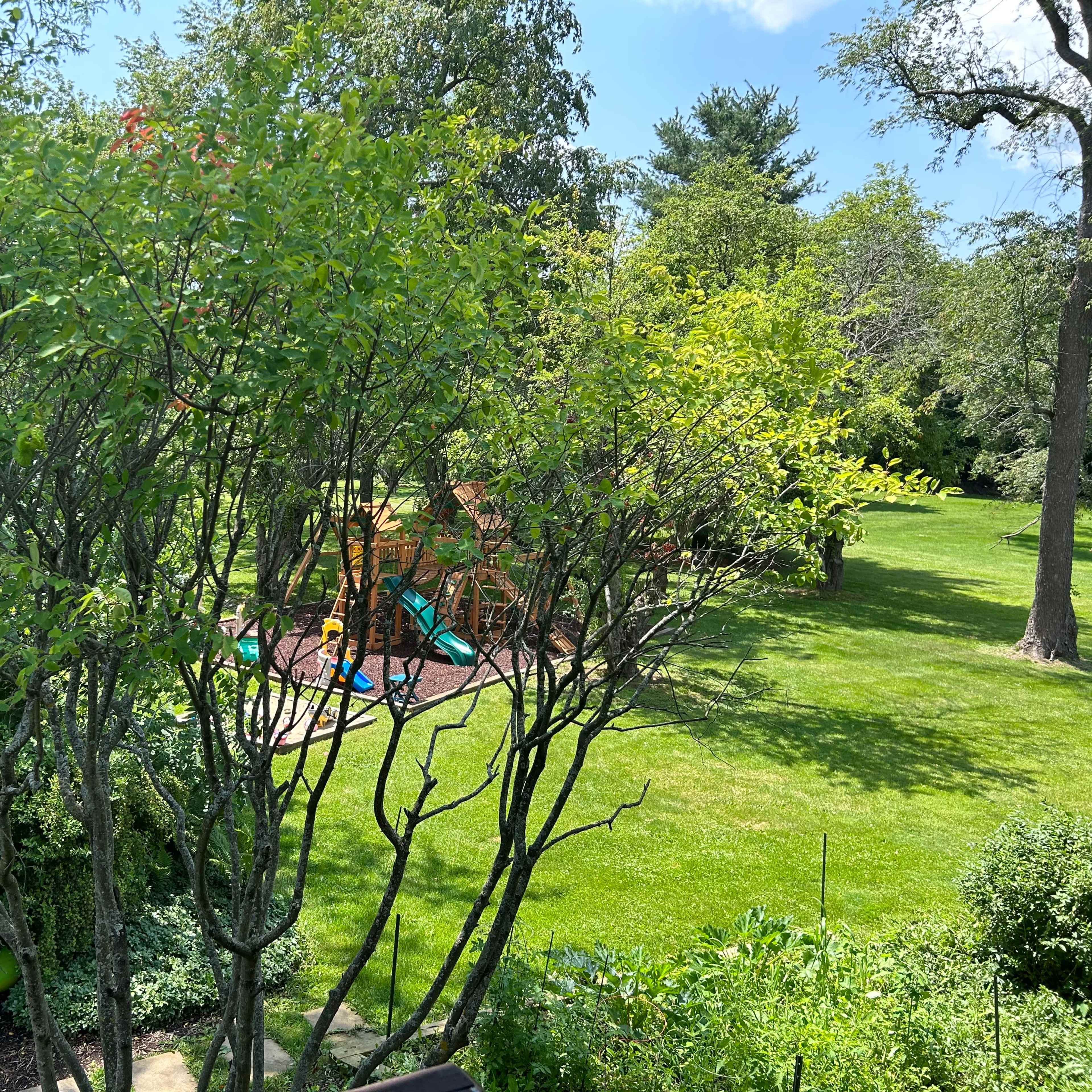 A playground with a slide and swings is visible among green trees in a well-maintained backyard.