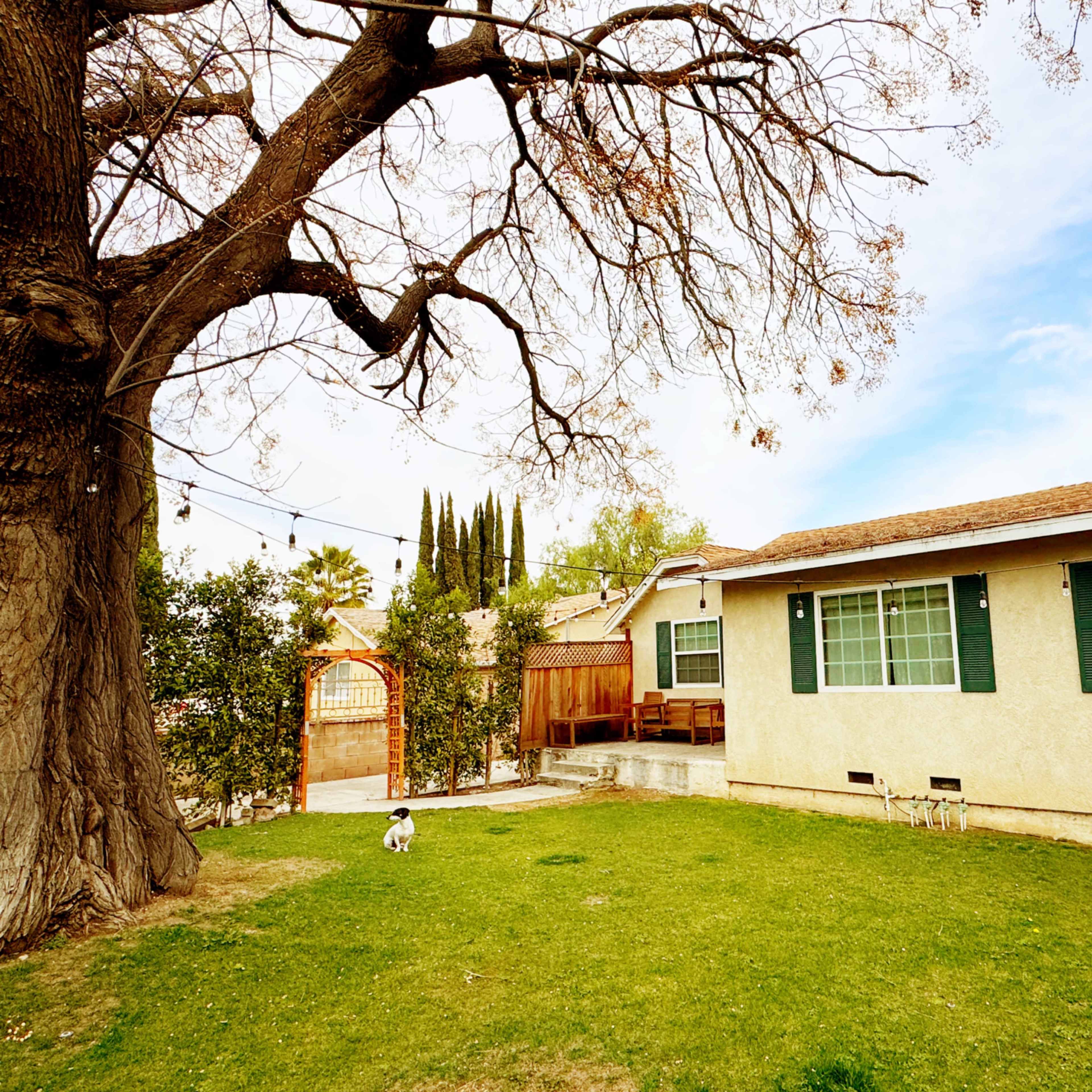 Classic Suburban House with Blue Collar garage Image in Valley Glen, Los Angeles, CA