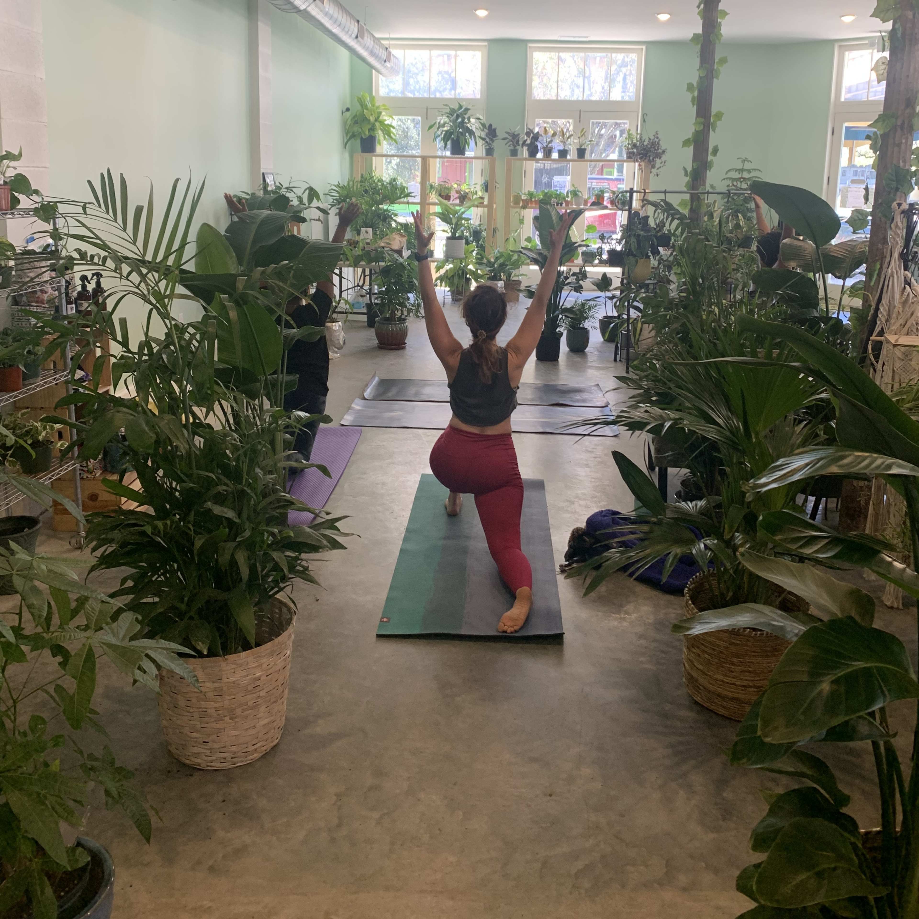A person performs a yoga pose in a spacious room filled with various potted plants and yoga mats.