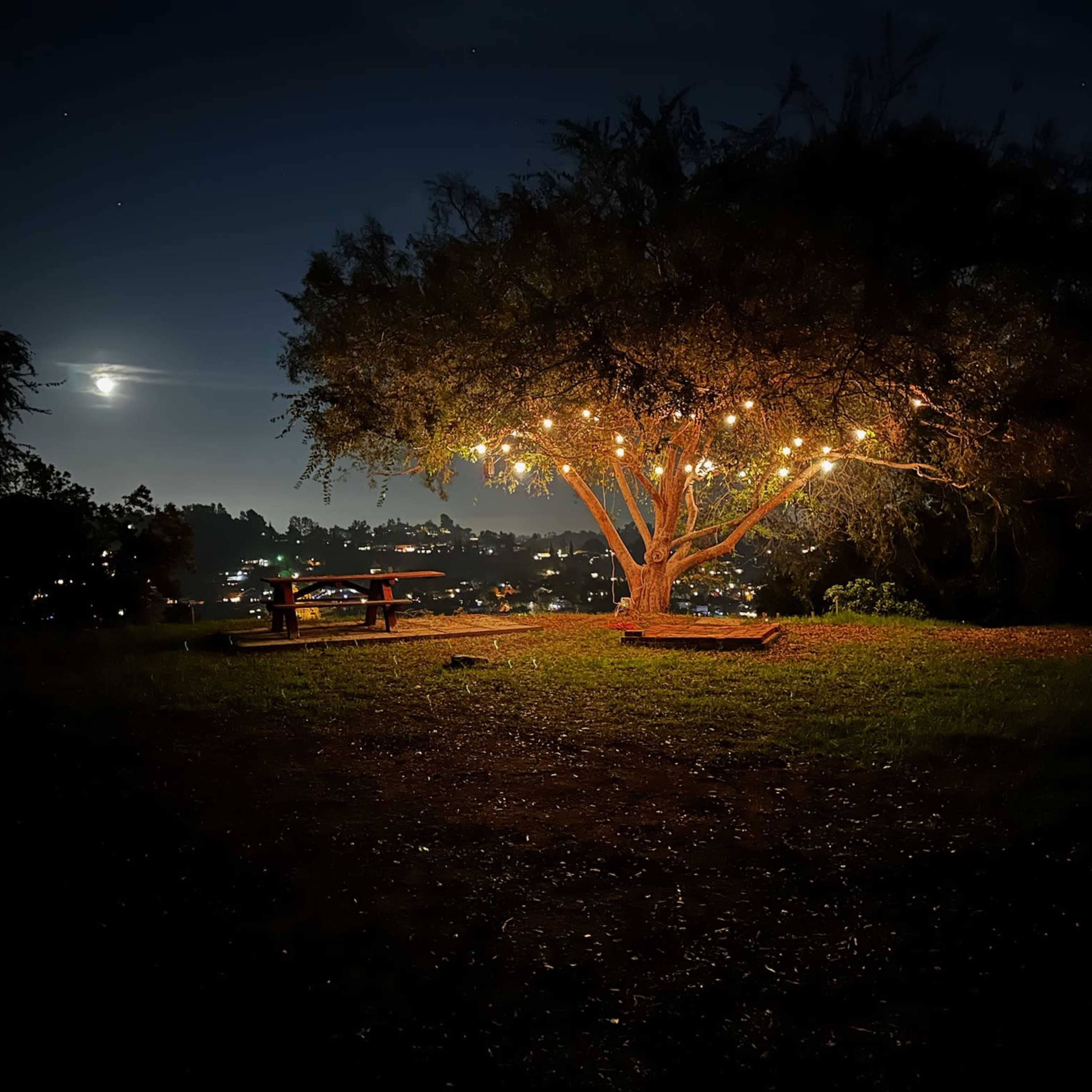 A tree adorned with string lights stands on a grassy hill overlooking a cityscape illuminated at night under a full moon.
