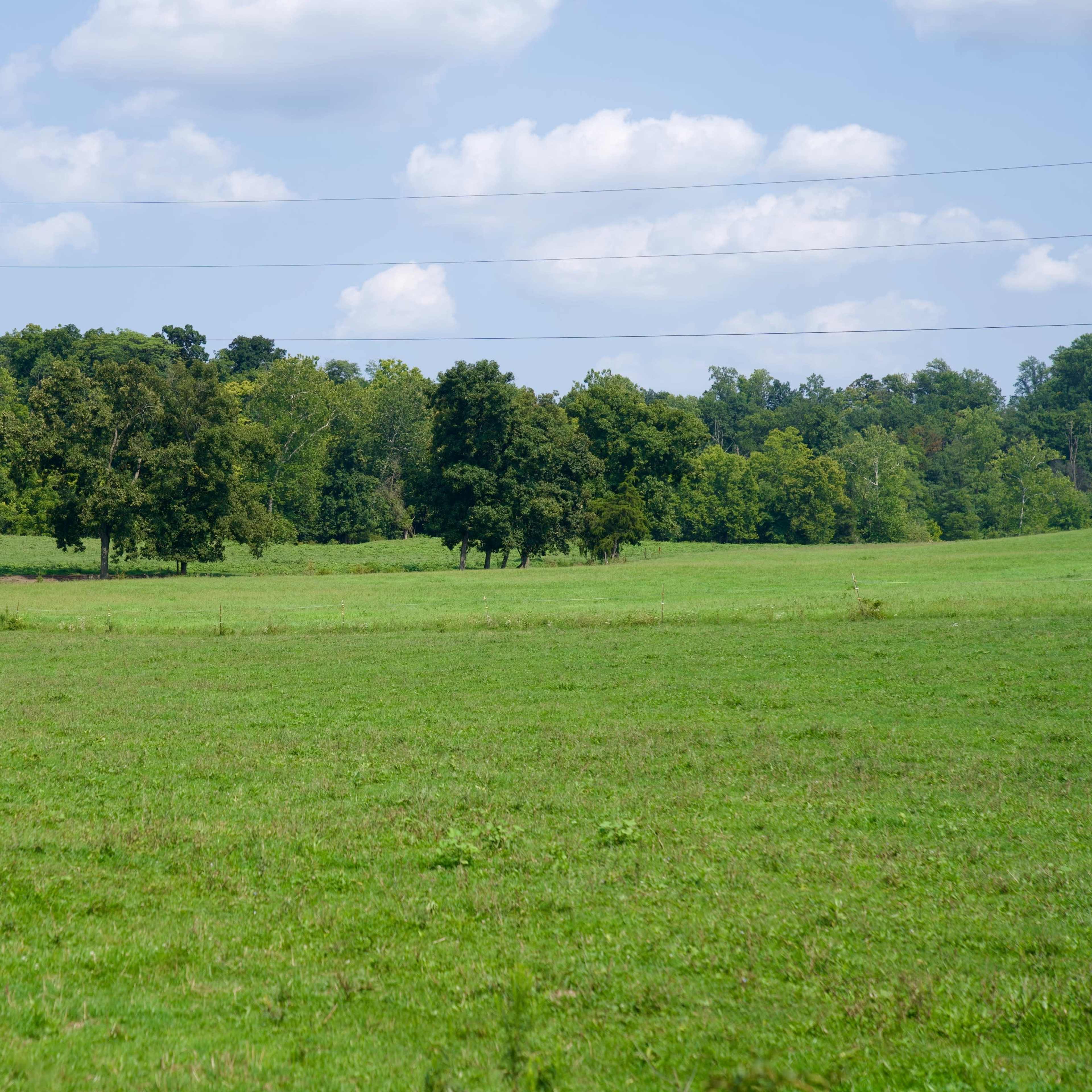 100 Acre Farm: Cows, Rolling Fields, Woods, and More Image in Londonderry Township, Middletown, PA