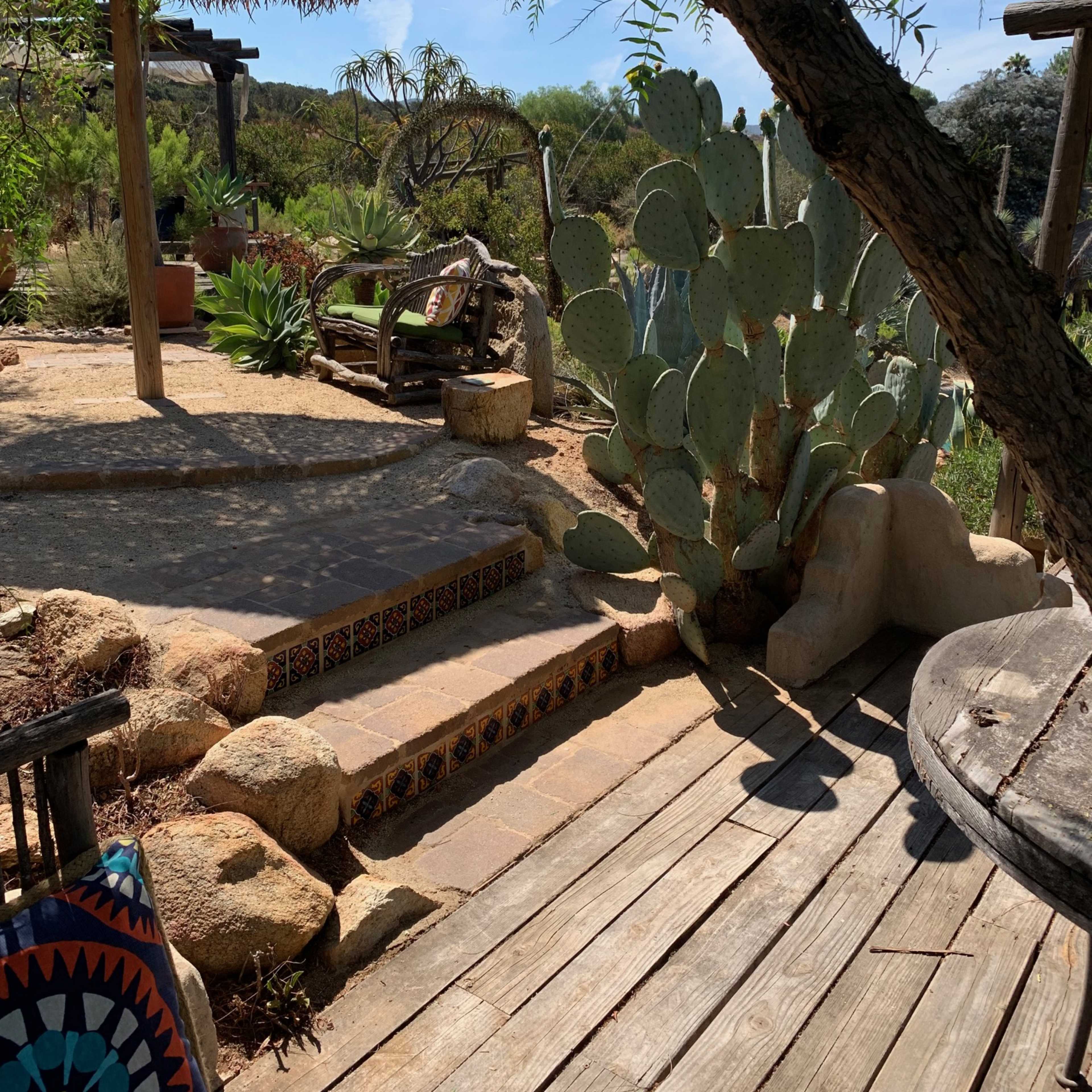 A rustic outdoor space with wooden flooring, stone steps, and a large cactus surrounded by greenery.