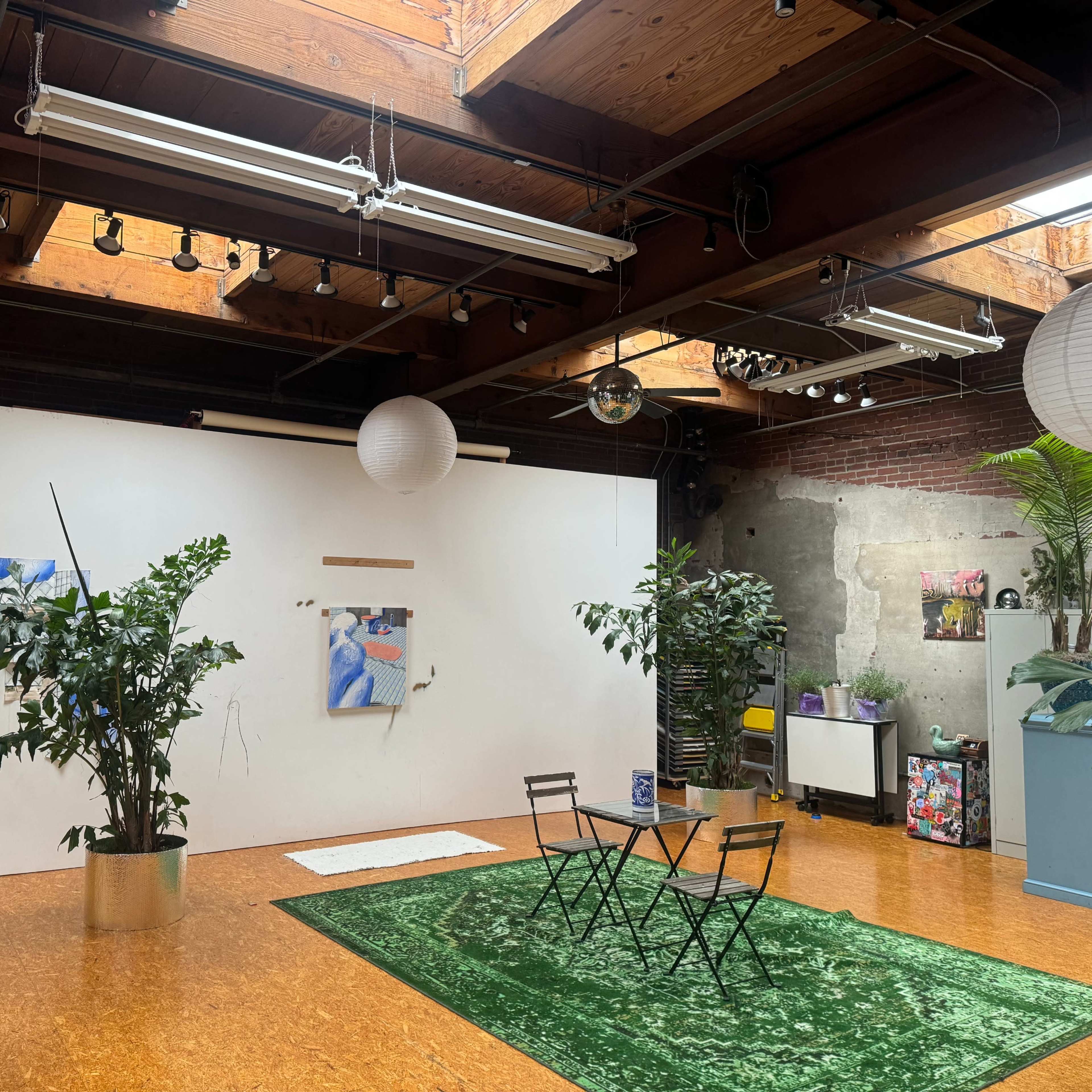A spacious studio with a white wall, green carpet, two indoor plants, a small black table with chairs, and overhead skylights.