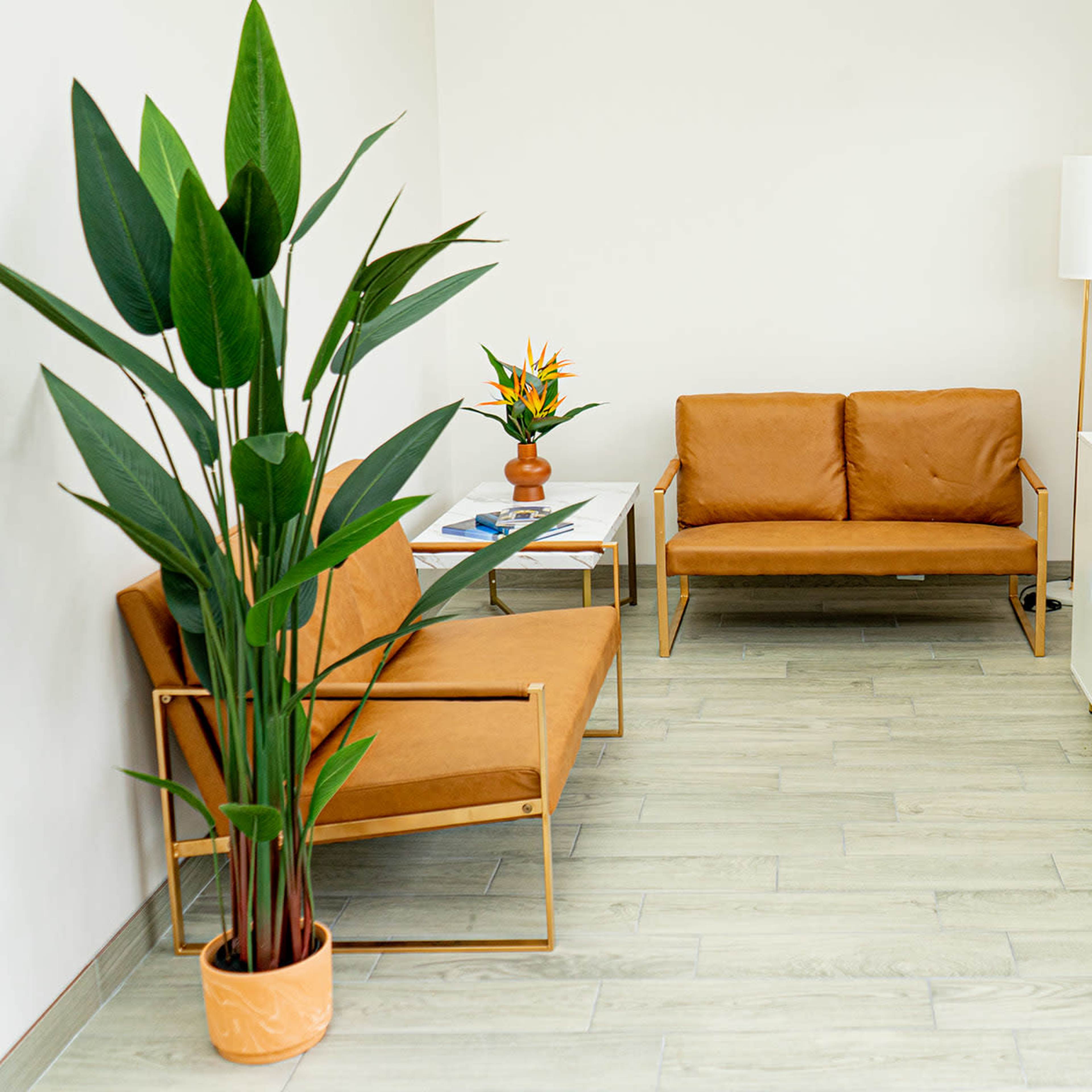 A modern waiting area featuring two brown sofas, a tall indoor plant, and a white sideboard with decorative items, all set against a light-colored wall.