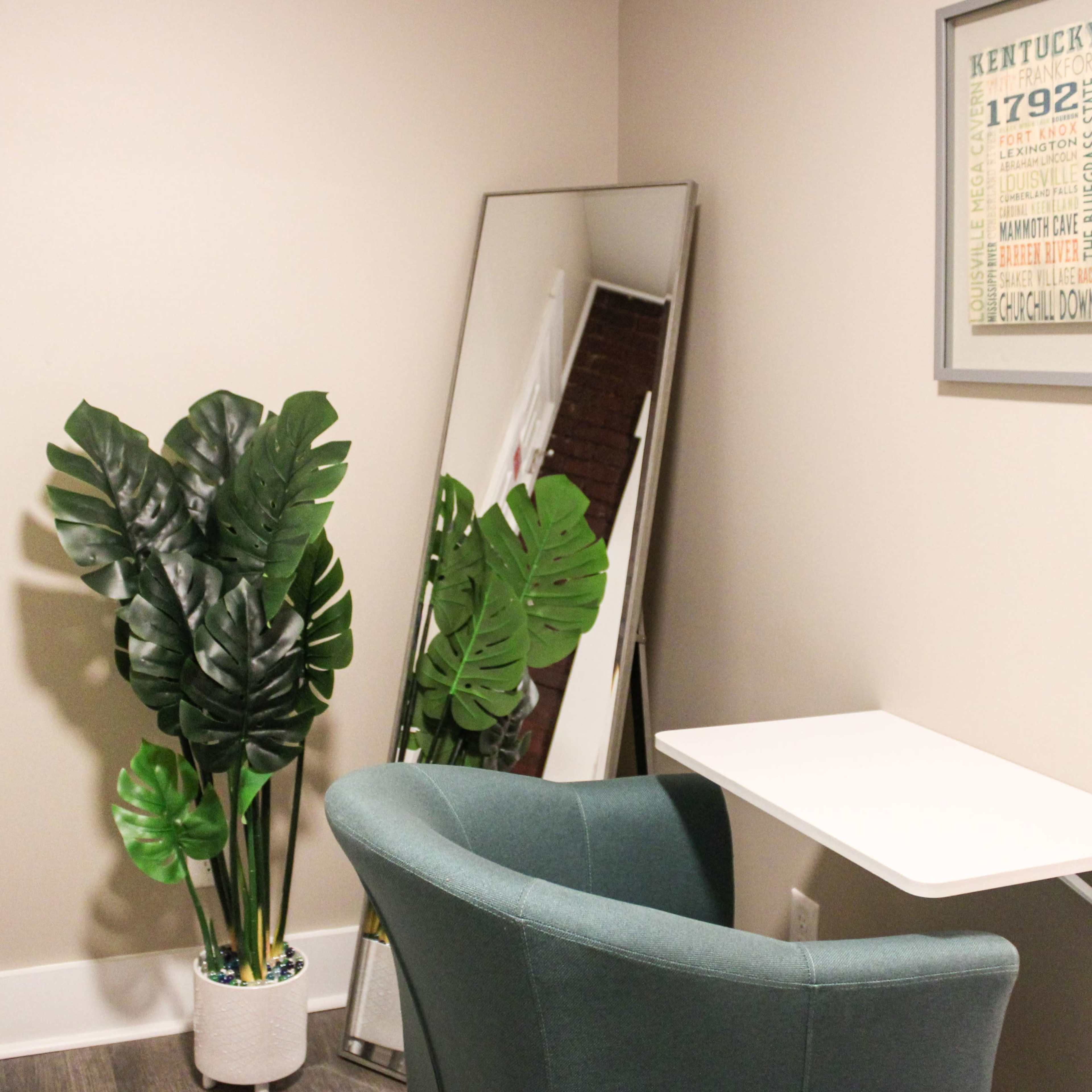 A small room features a chair next to a wall-mounted table, a large mirror, and a potted plant with large green leaves.
