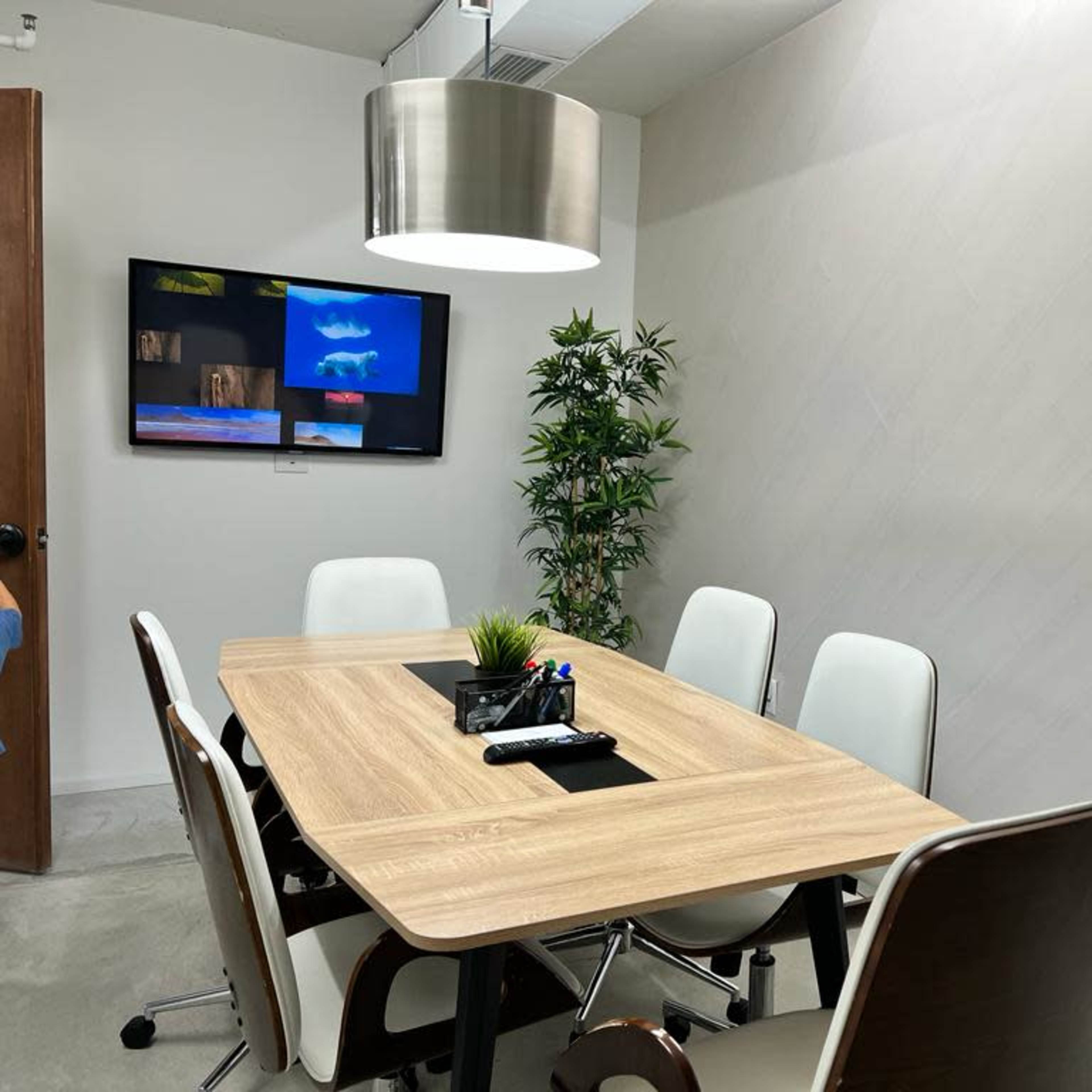 A conference room with a wooden table, white chairs, a television mounted on the wall, and a small plant in the corner.