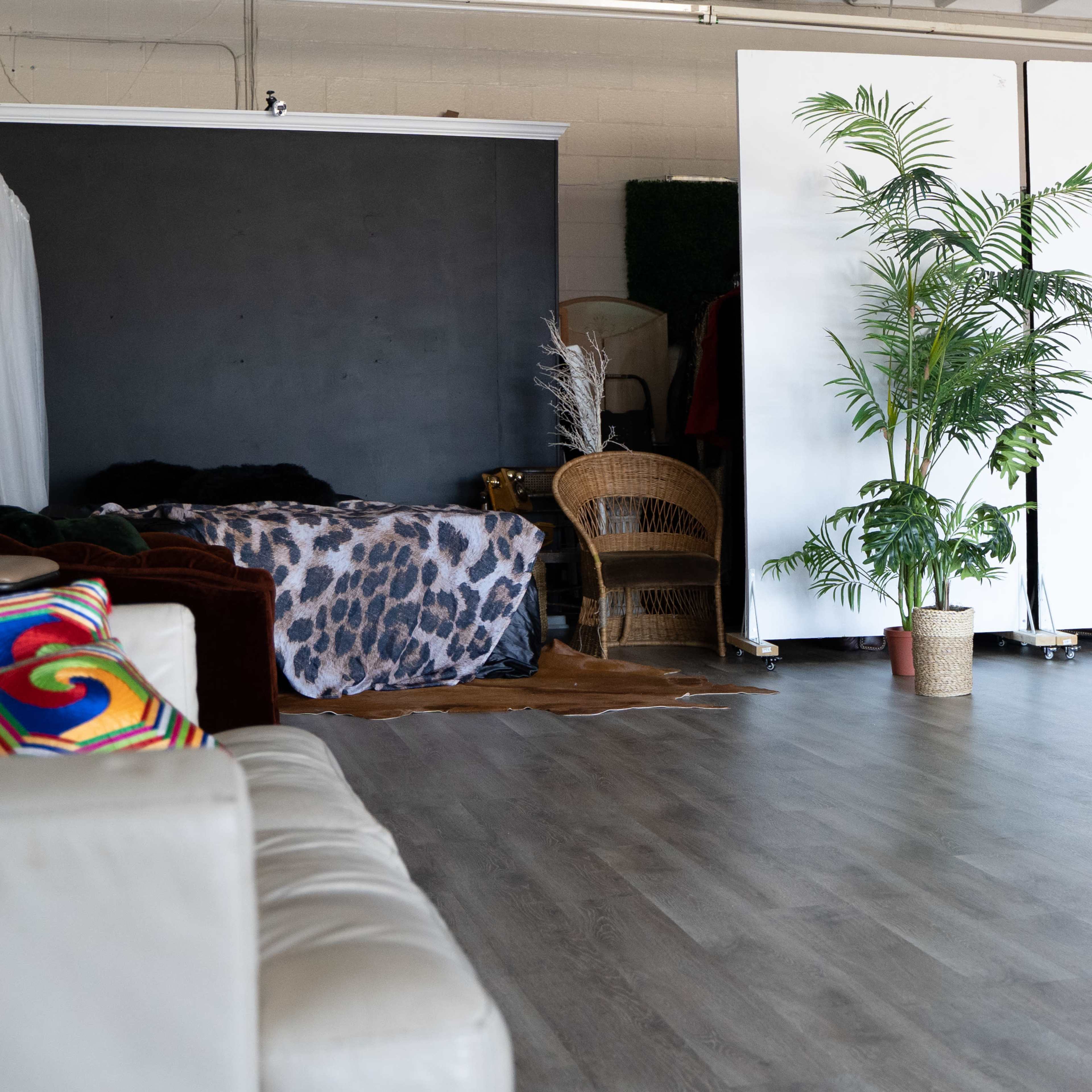 A spacious studio with a wooden floor, featuring a large potted plant, a bed with animal print bedding, and several photography backdrops.