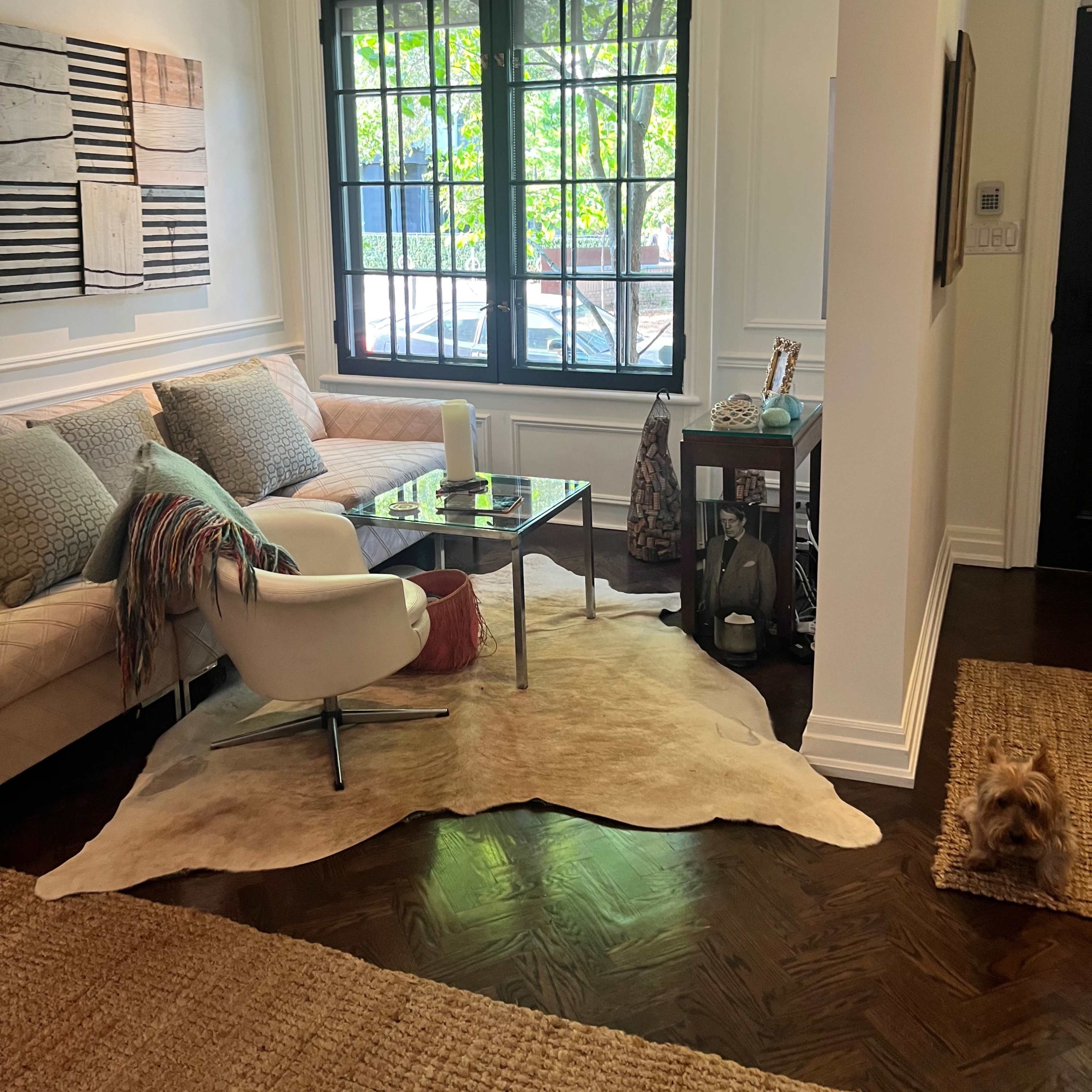 A modern living room with a beige sofa, a glass coffee table on a cowhide rug, and a small dog resting on the floor near a window.