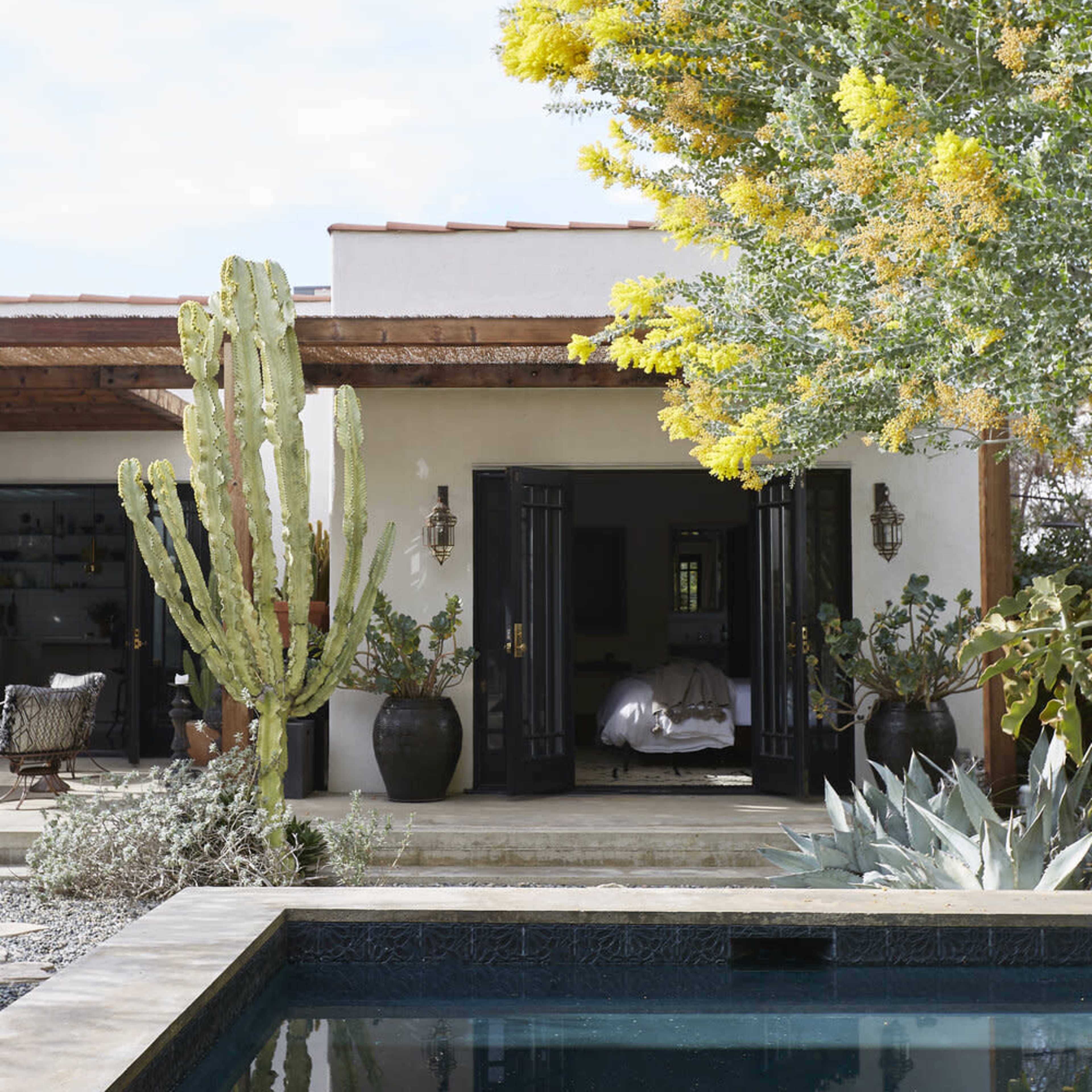A modern house with an open entrance is surrounded by desert plants and a swimming pool reflects the bright yellow blooms of a nearby tree.