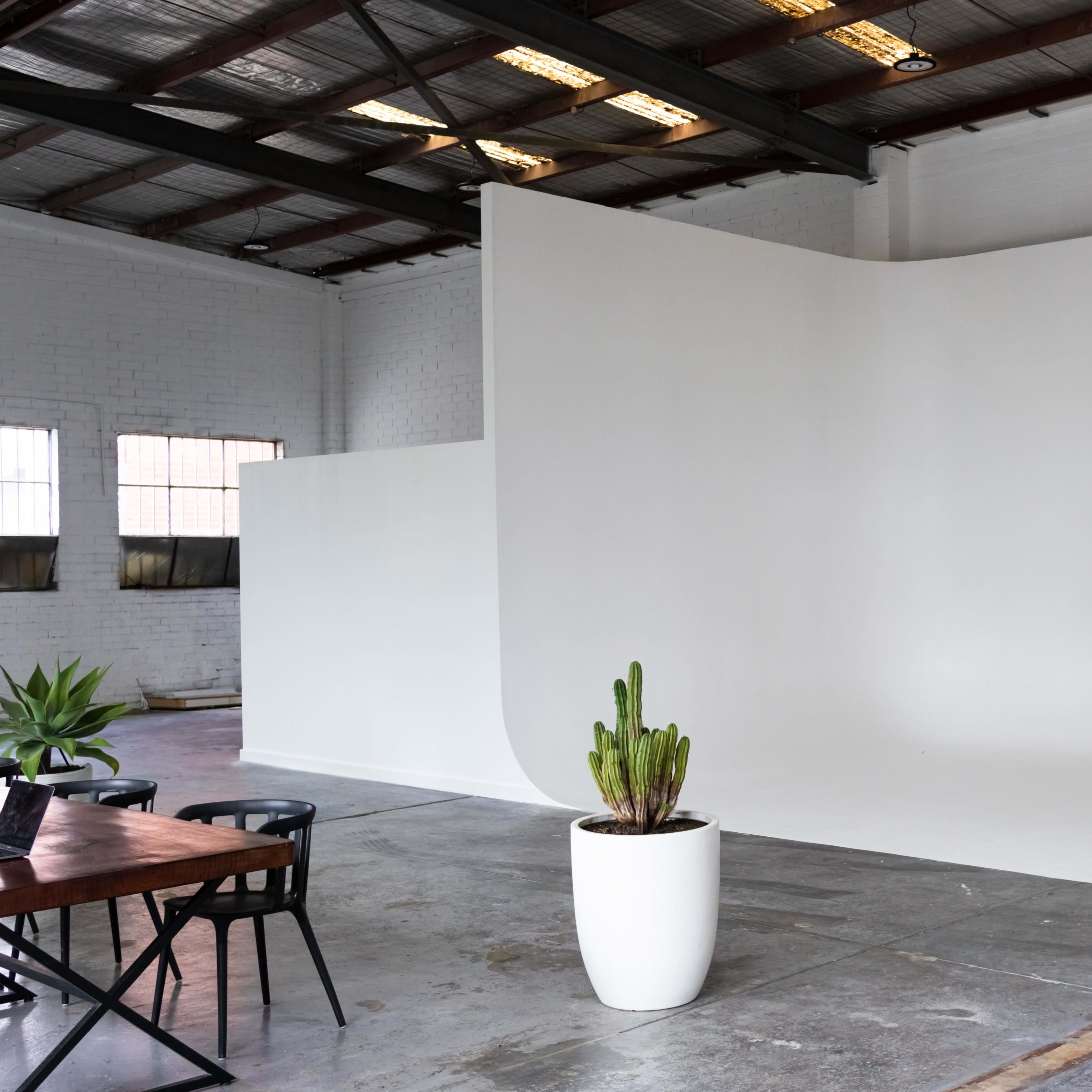 A bright, spacious studio features a large white backdrop, a wooden table with chairs, and a potted plant in the foreground.