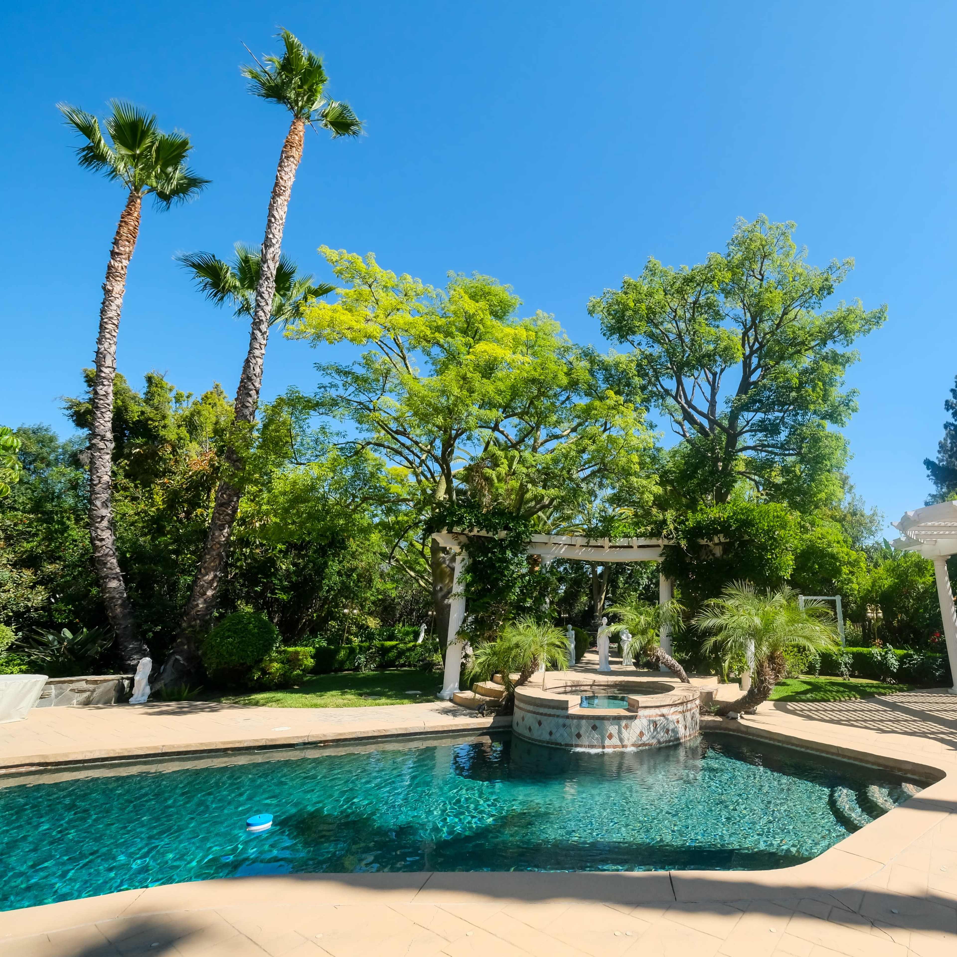 A swimming pool with a spa is surrounded by lush greenery and palm trees under a clear blue sky.
