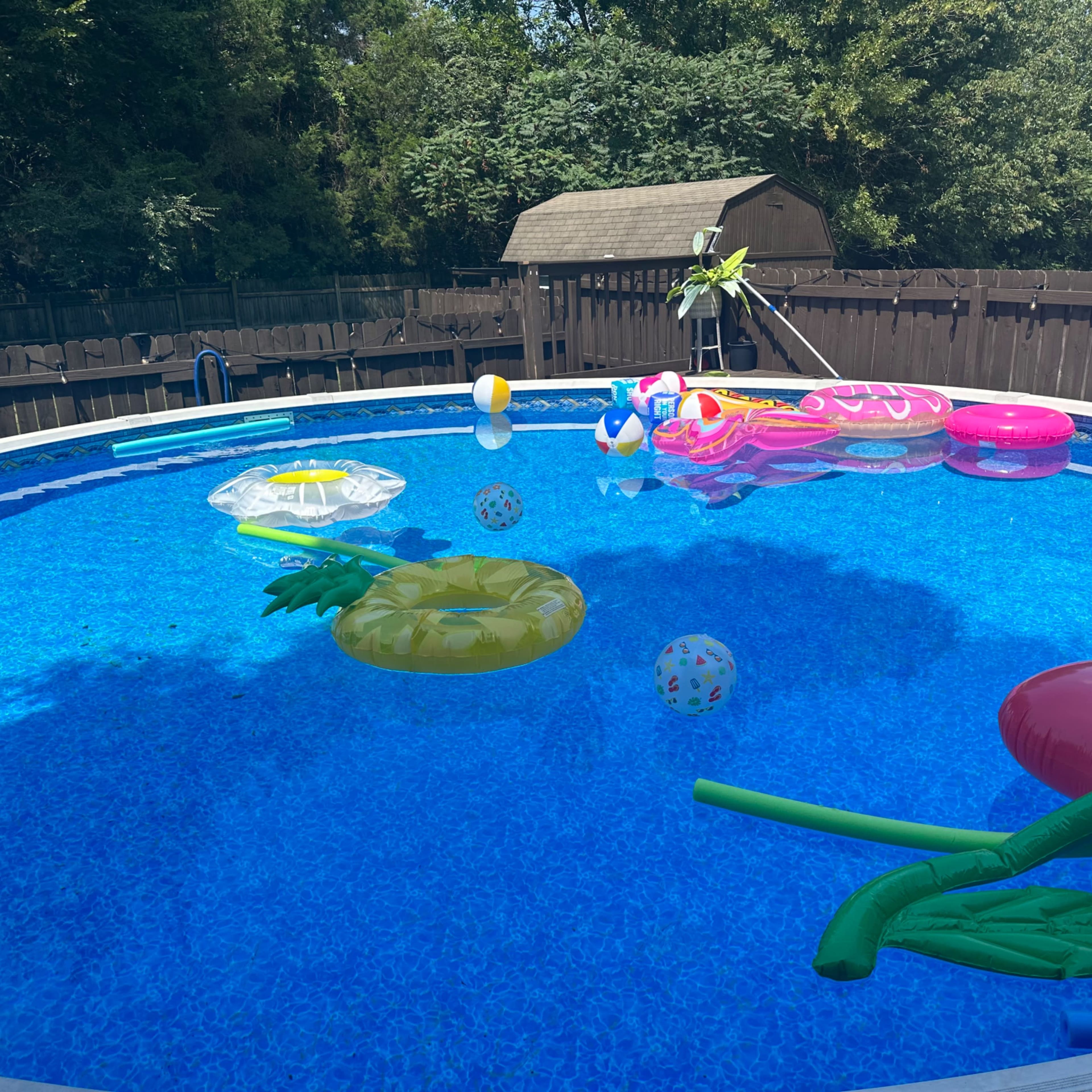 A variety of colorful pool floats are scattered across a circular above-ground pool filled with blue water, surrounded by a wooden fence and greenery.