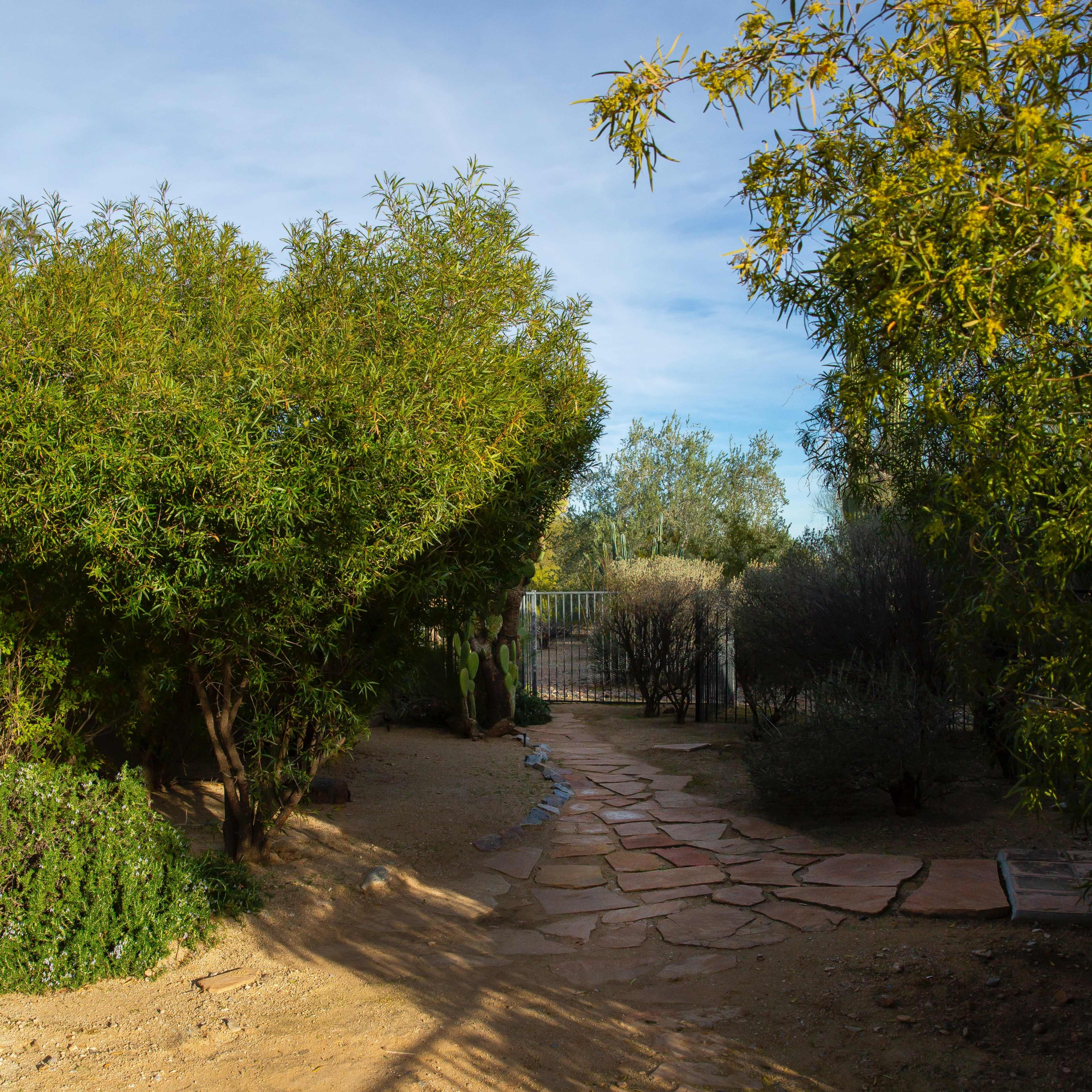 A stone pathway winds through a garden filled with shrubs and trees, leading to a gate in the background.