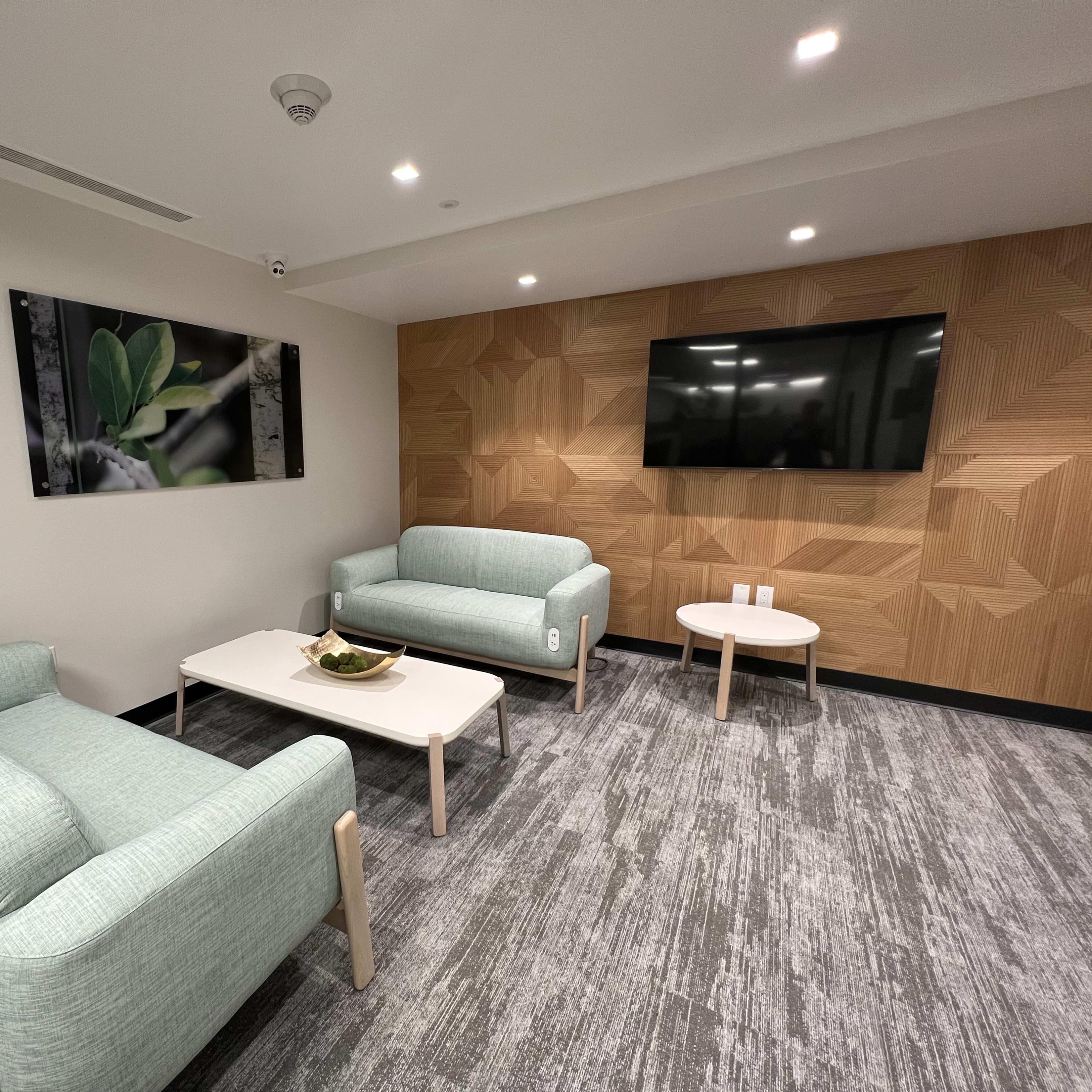 A modern, minimalist waiting area with two light teal sofas, a coffee table, and a wall-mounted TV, alongside a textured wood panel and a framed nature photograph.