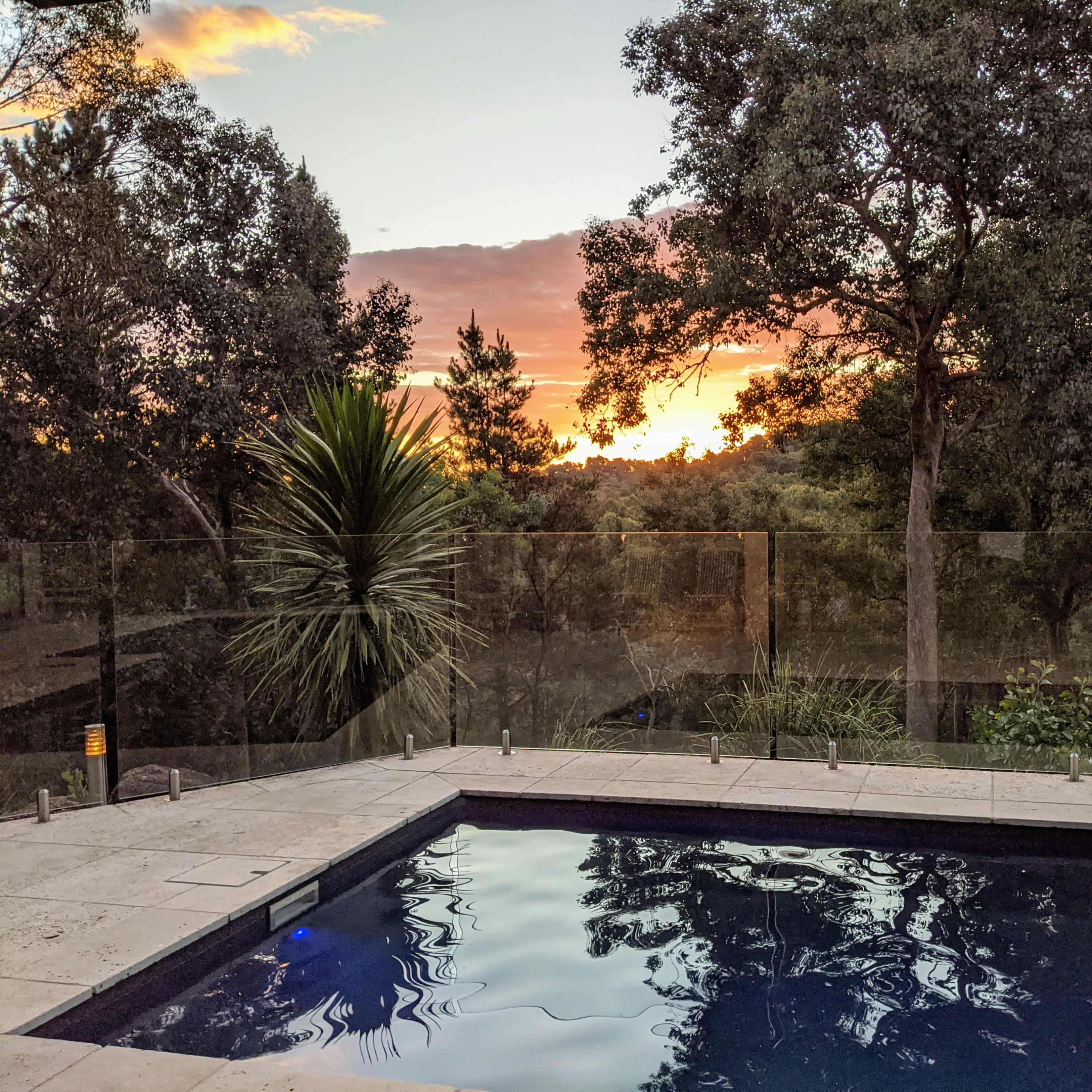 A pool surrounded by greenery with a view of a sunset over the horizon.