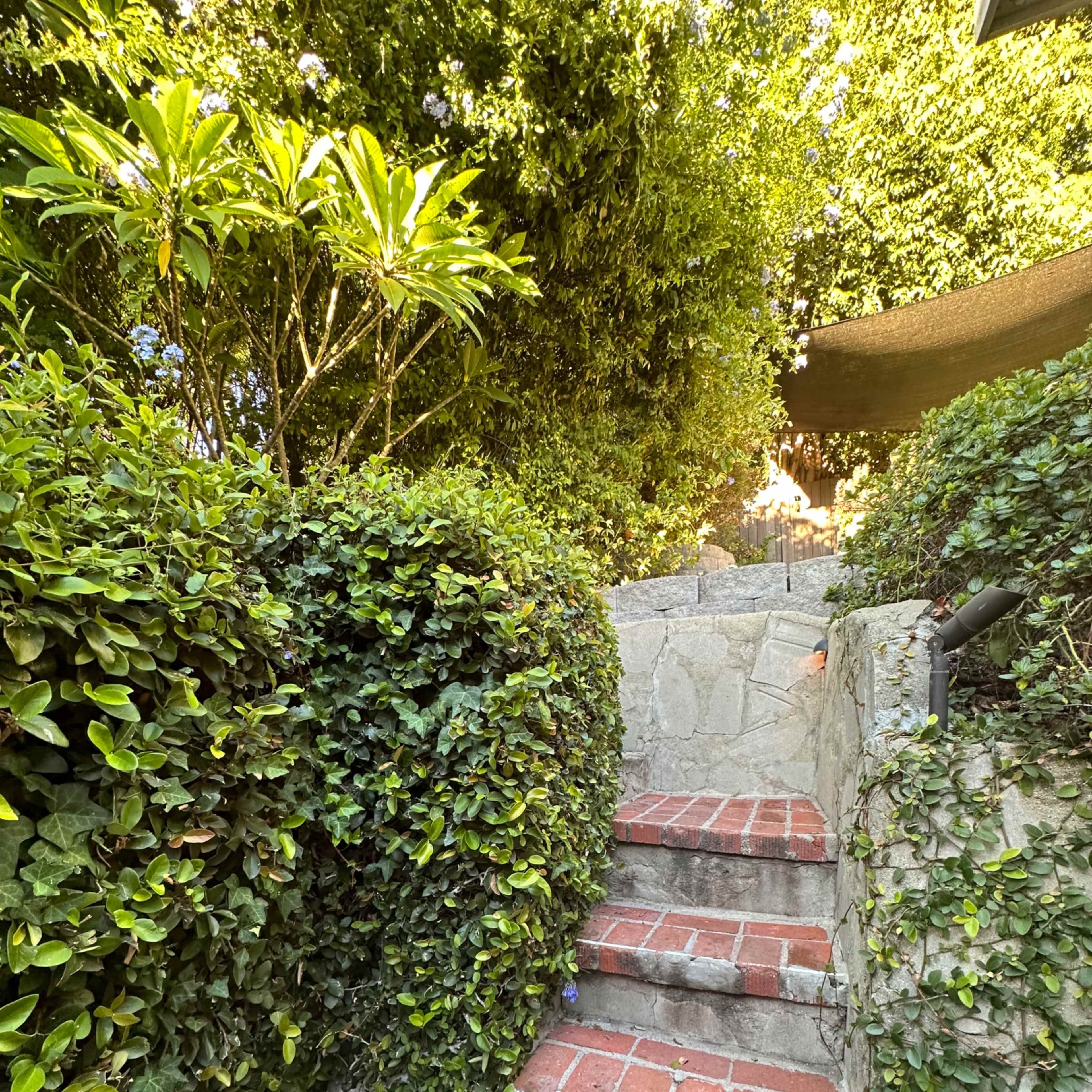 A set of brick steps leads upward through lush green foliage toward a shaded area.