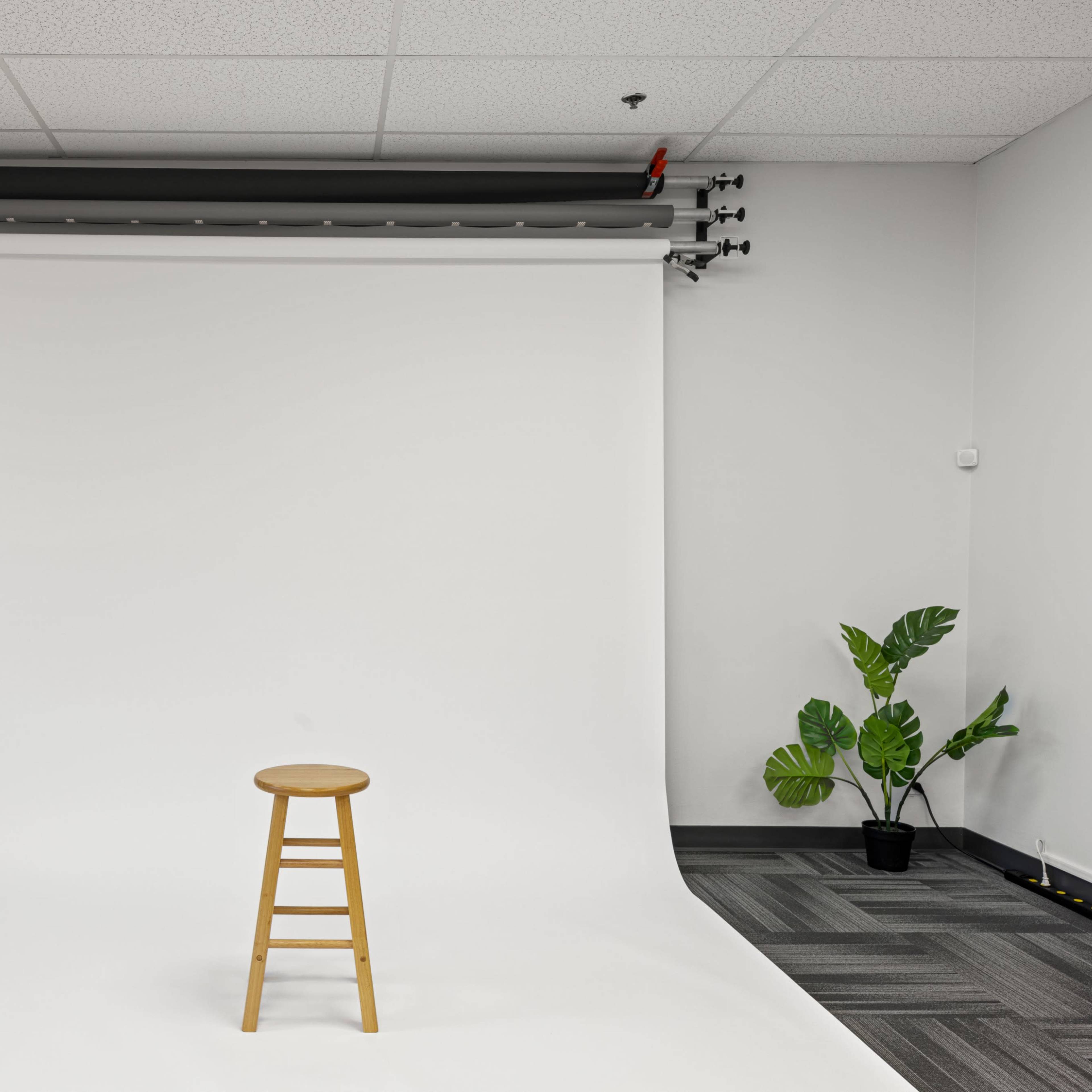 A photography studio with a wooden stool placed on a blank white backdrop, surrounded by a plant in the corner.