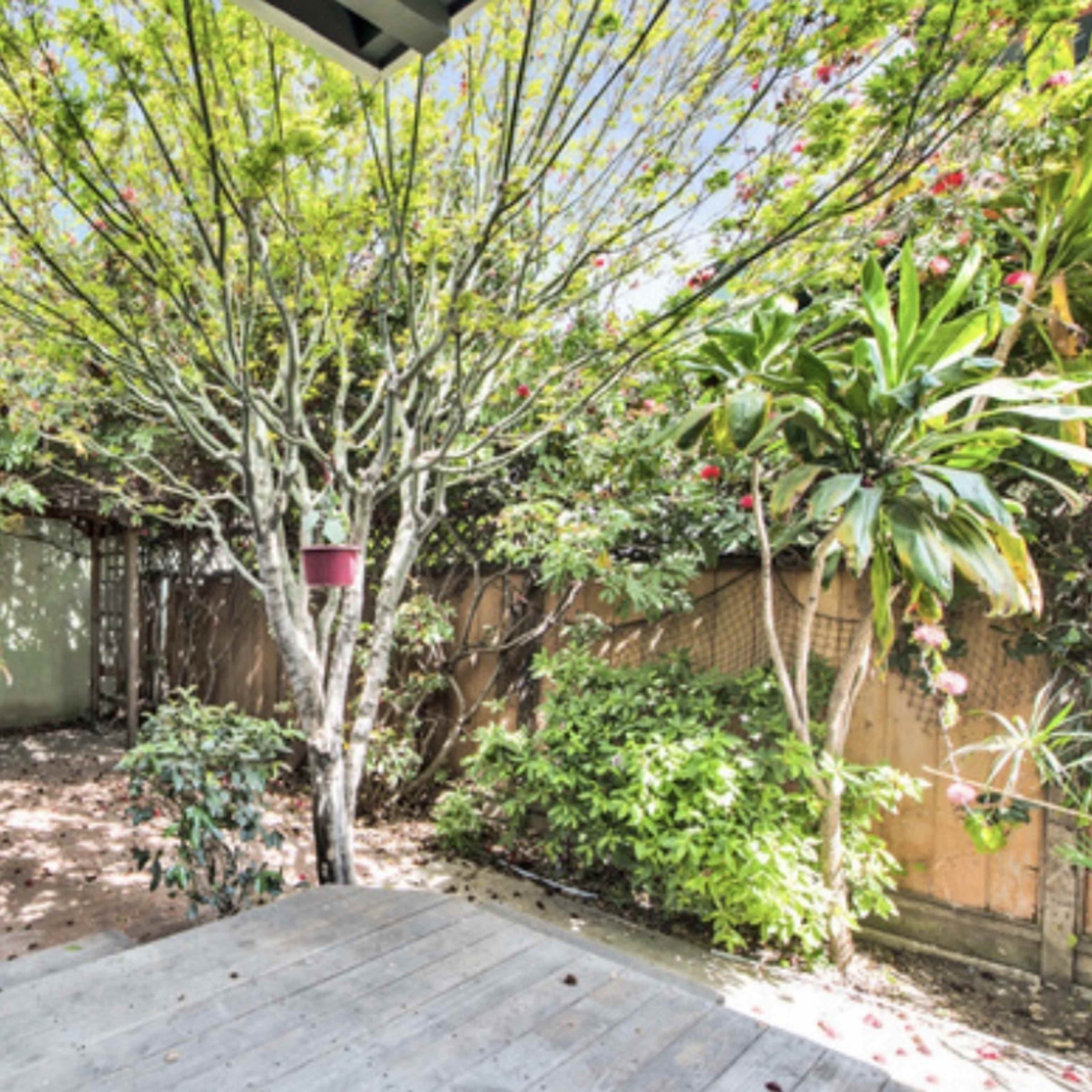 A small, landscaped garden features a tree and various plants surrounded by a fence.