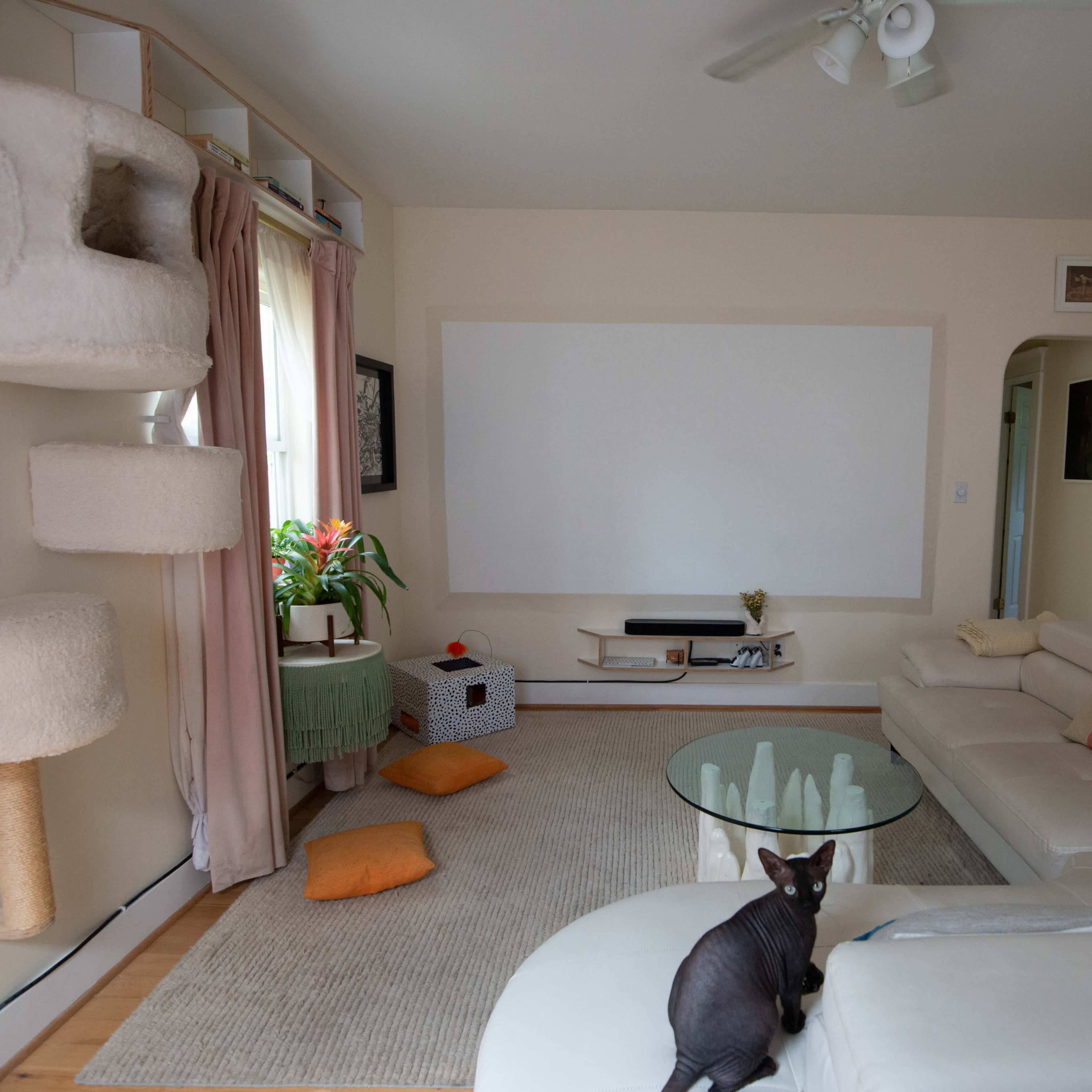 A spacious living room features a large white wall for display, a white sectional sofa, a textured area rug, and a cat sitting near a scratching post and scattered cushions.