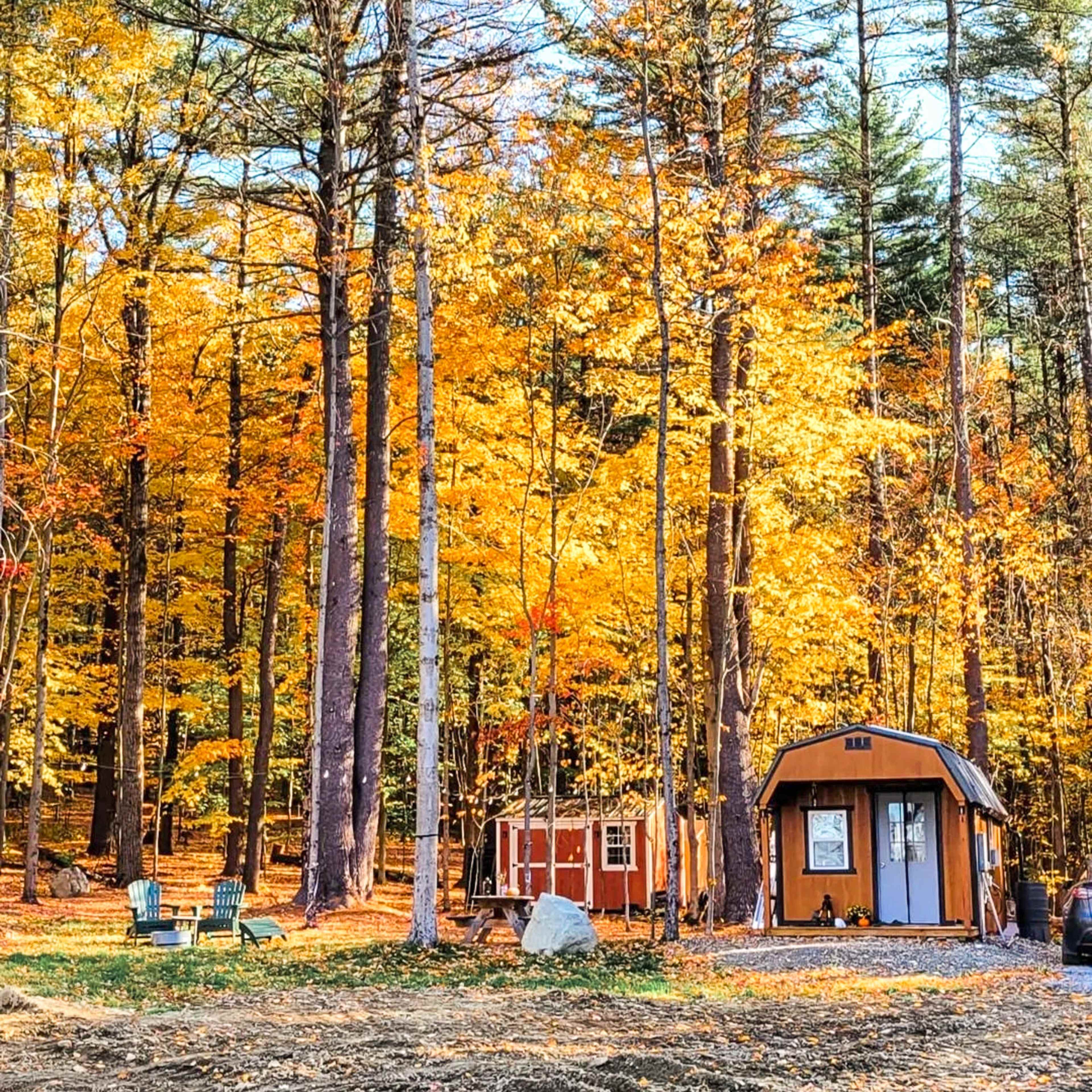 A small, wooden cabin and a shed are nestled among vibrant fall foliage in a forest clearing.
