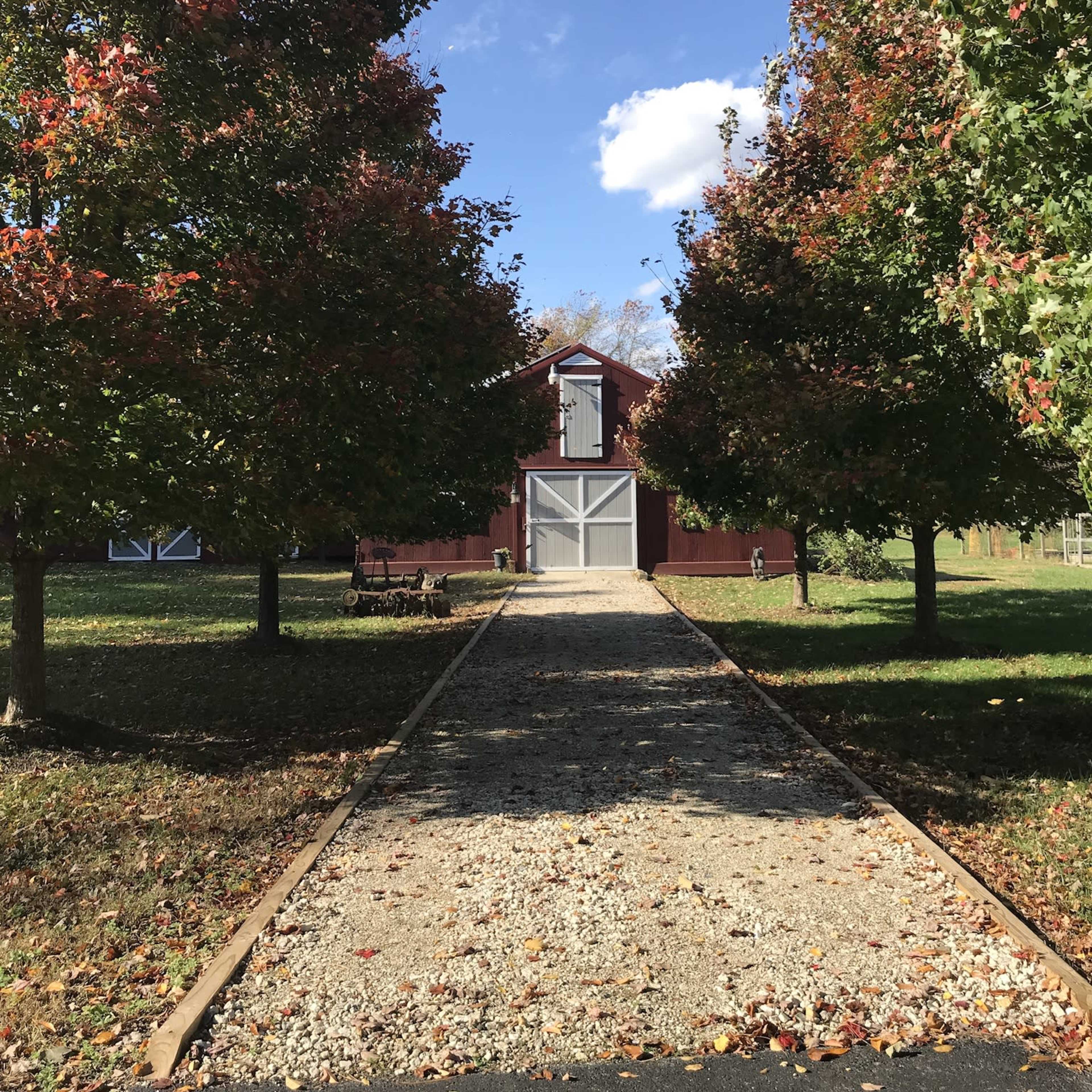 A gravel path leads to a red barn, framed by trees displaying autumn foliage under a clear blue sky.