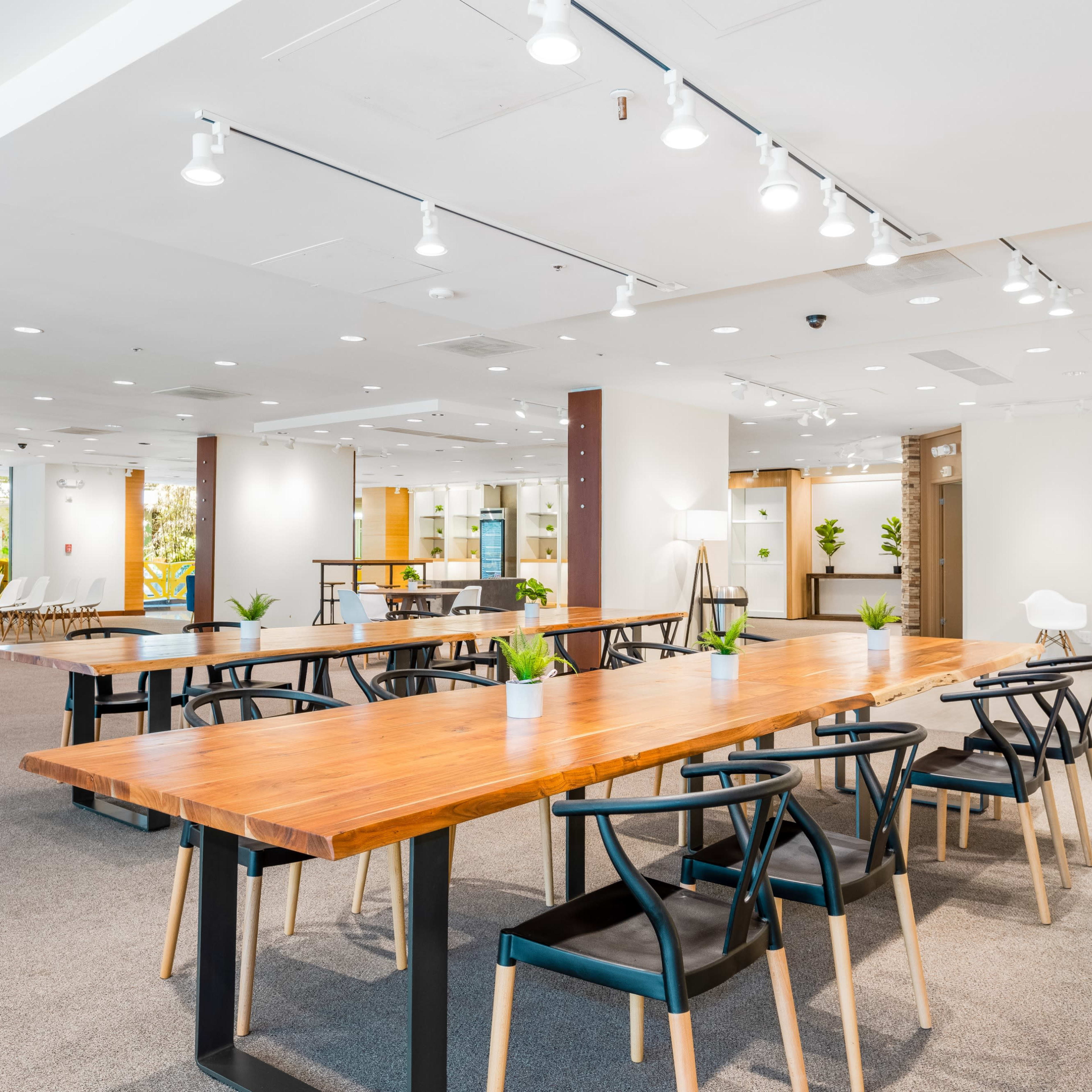 A spacious, well-lit room with multiple wooden tables, black chairs, and green plants arranged throughout.