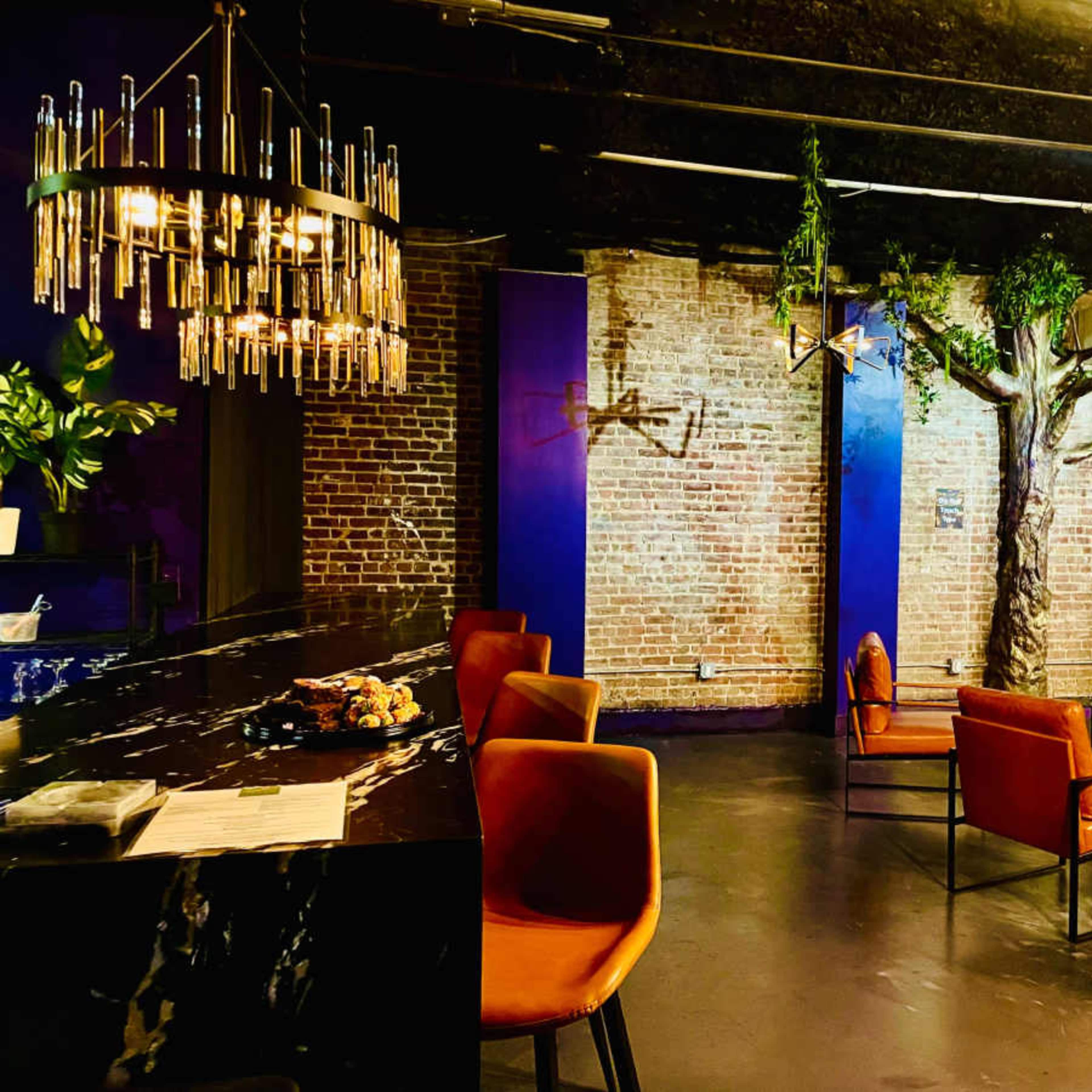 Private Brooklyn Lounge w/ Botanical Bar + String-Lit Backyard Vibe Image in Bedford-Stuyvesant, Brooklyn, NY