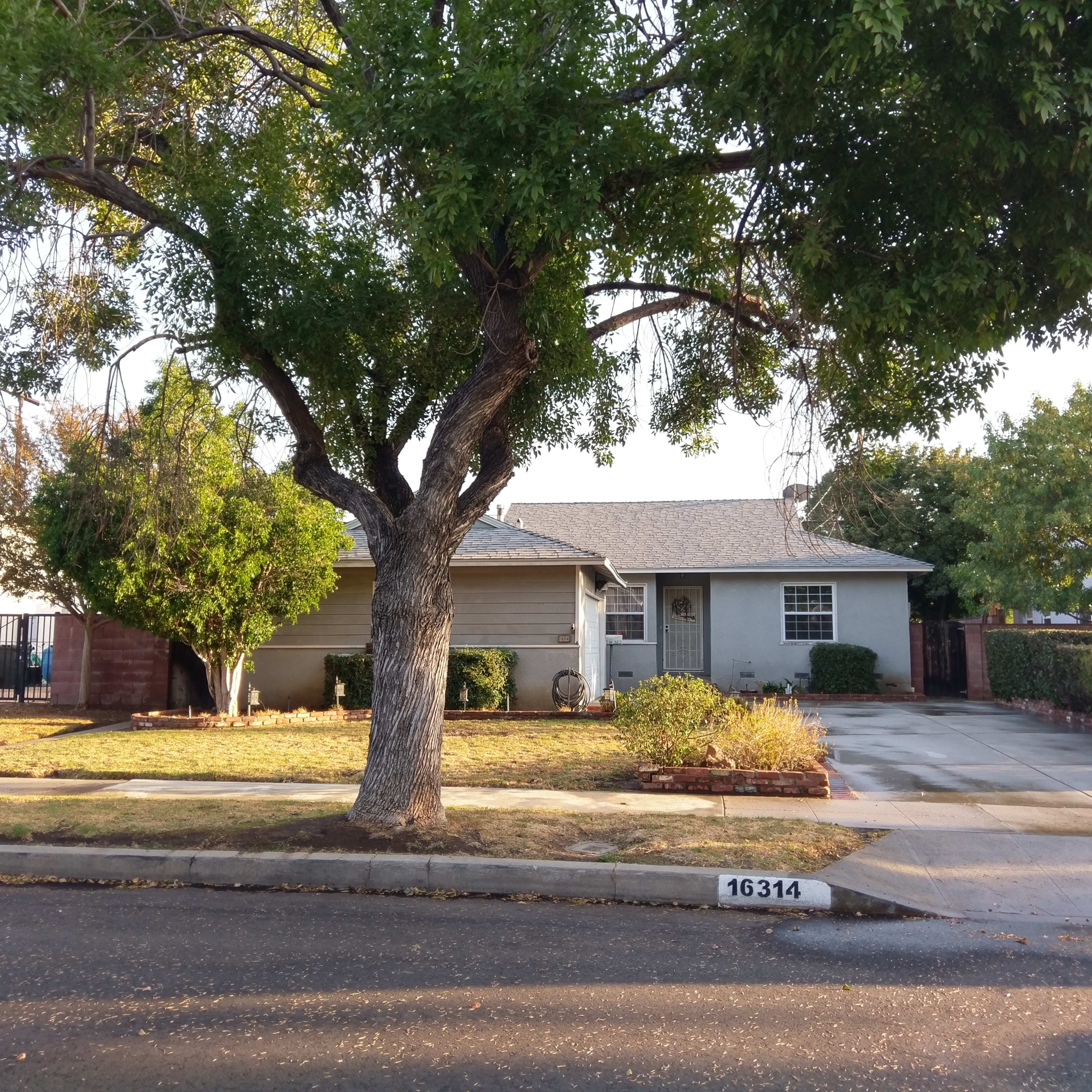 A single-story house with a large tree in the front yard and a driveway is situated on a quiet street.