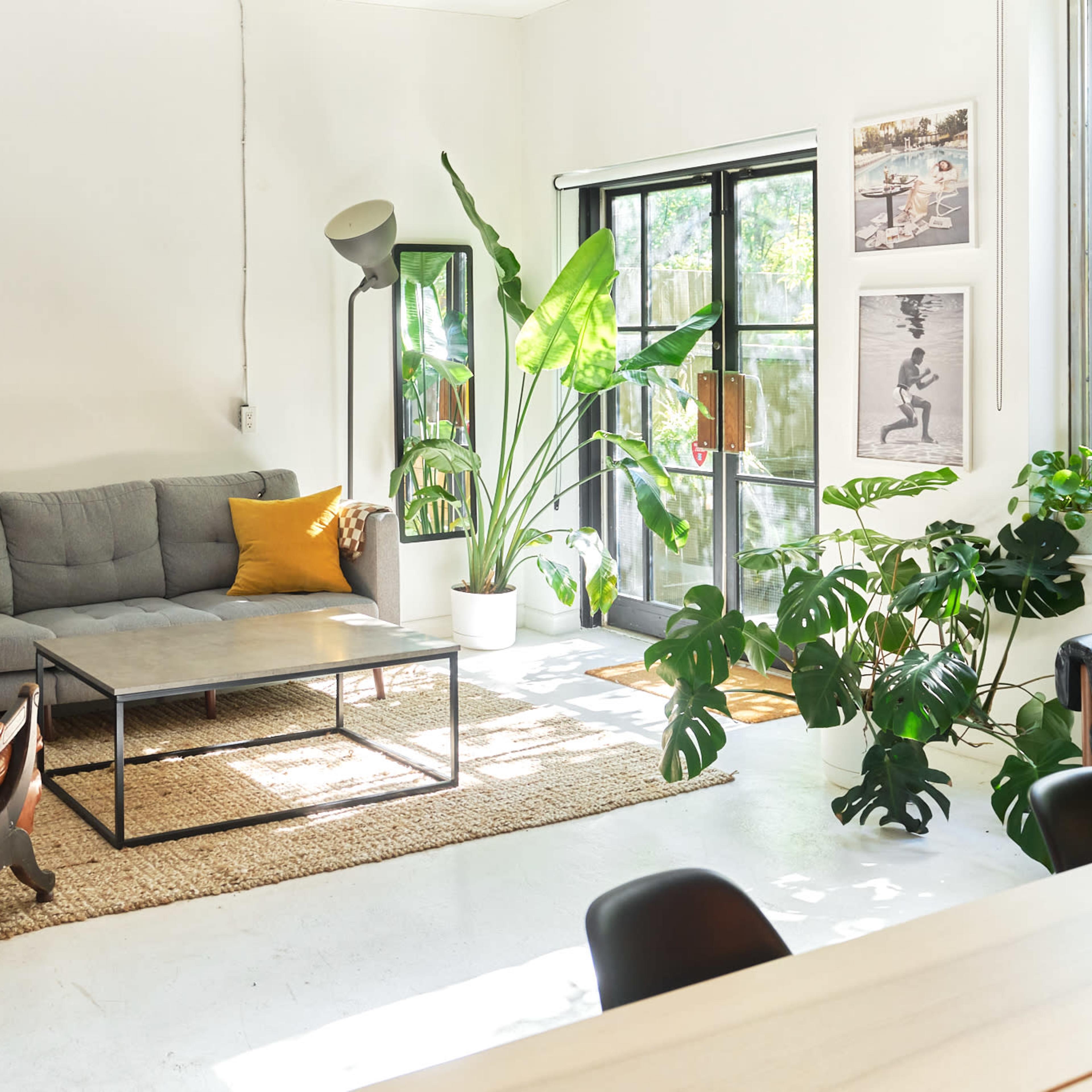 The scene features a modern, minimalist living space with a gray sectional sofa, a brown armchair, a coffee table, and numerous plants near large windows.