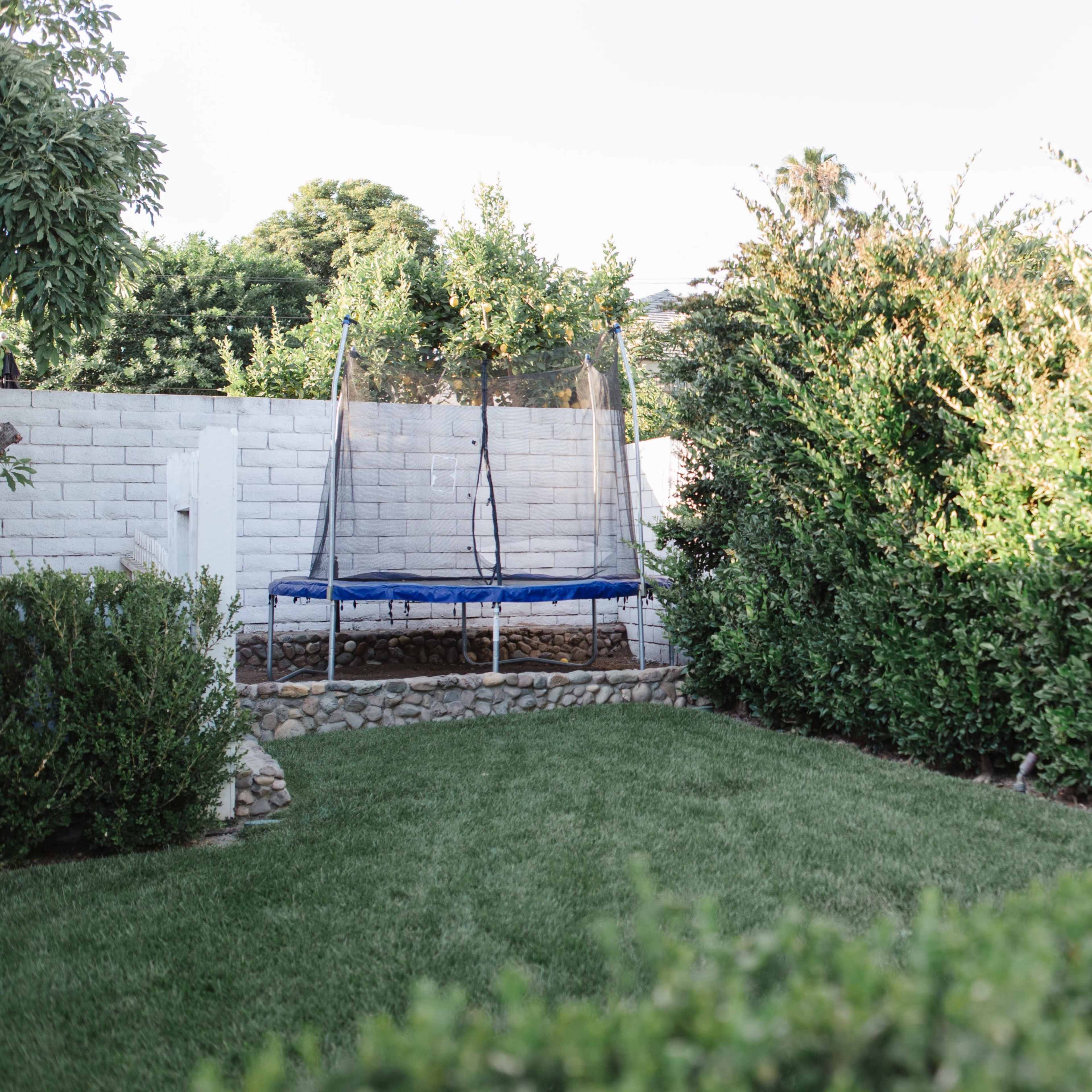 A trampoline rests in a grassy yard, surrounded by dense shrubs and a white brick wall.