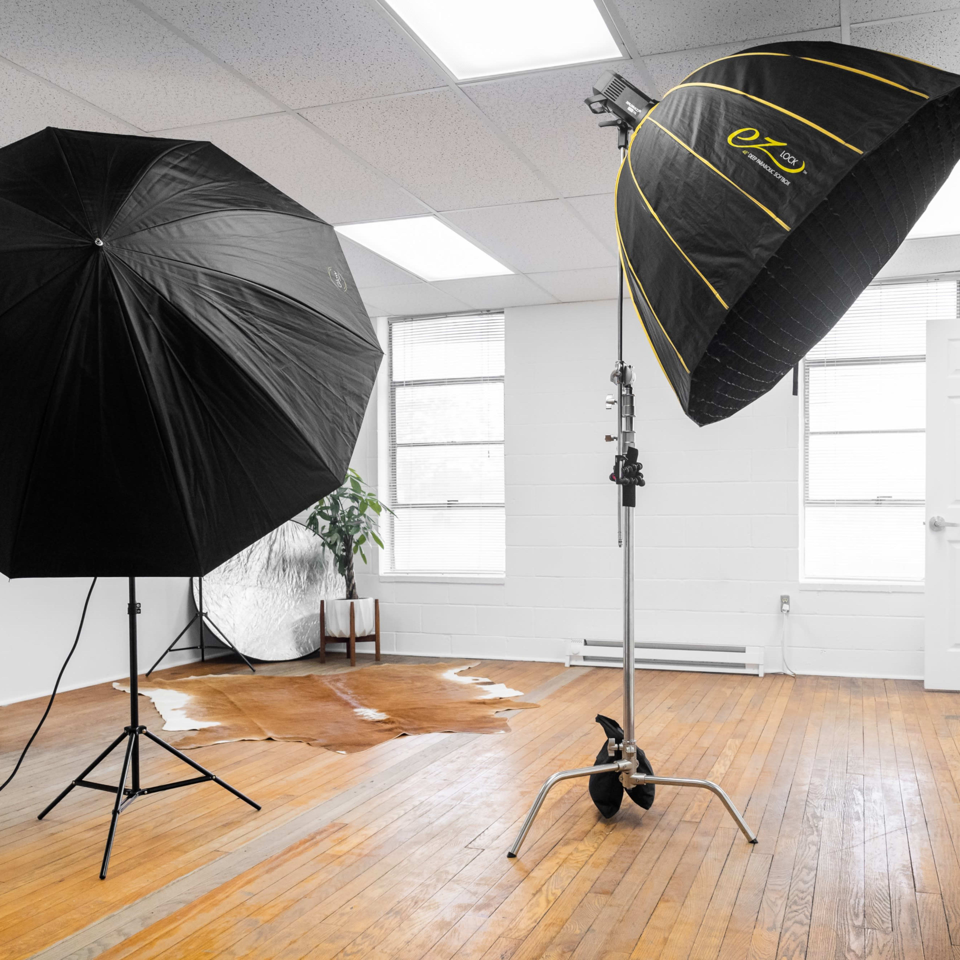A photography studio with two large black umbrellas, a reflective surface, and a wet patch on the wooden floor.