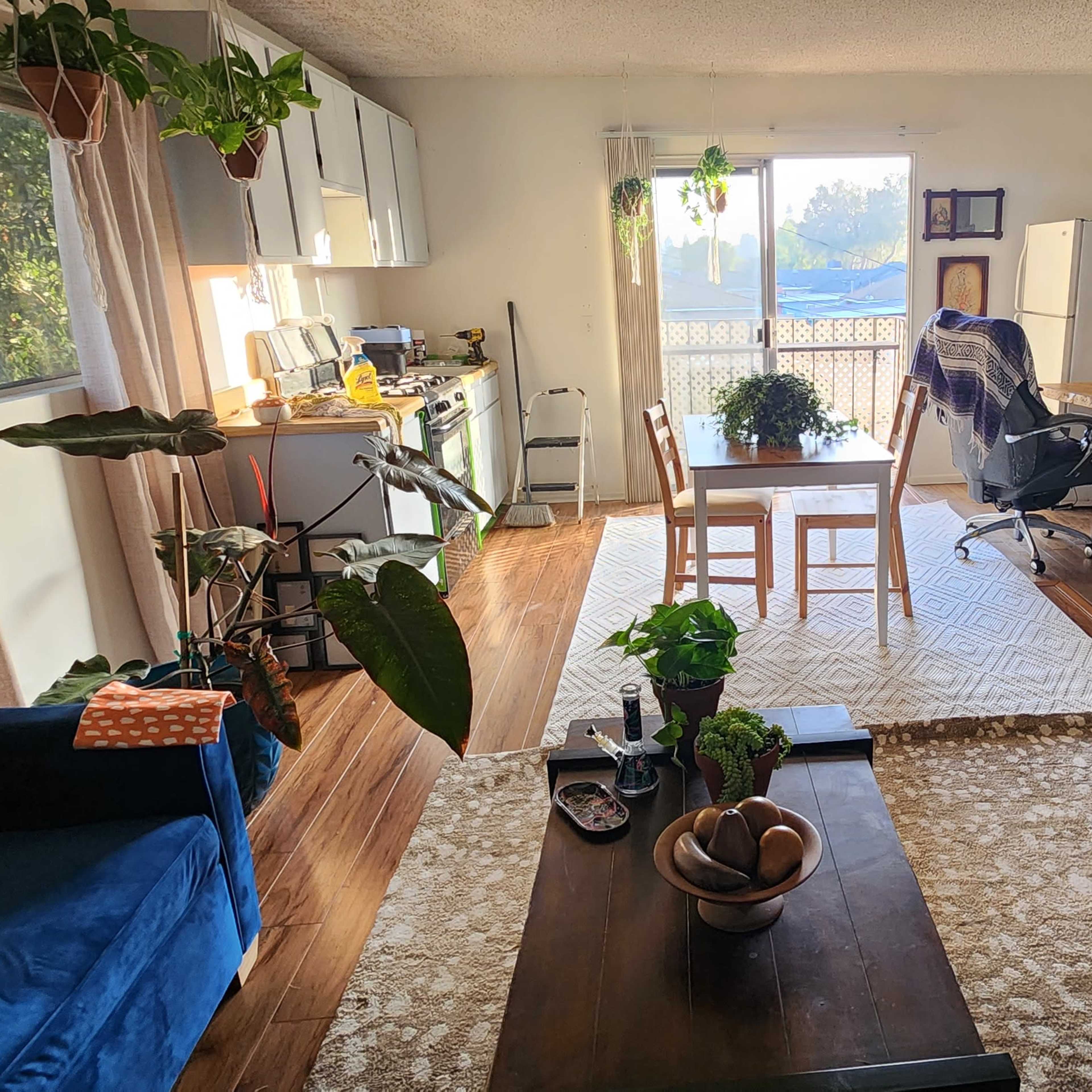 Plant Haven Retreat: Lush Garden Oasis for Events Image in Los Altos, Long Beach, CA